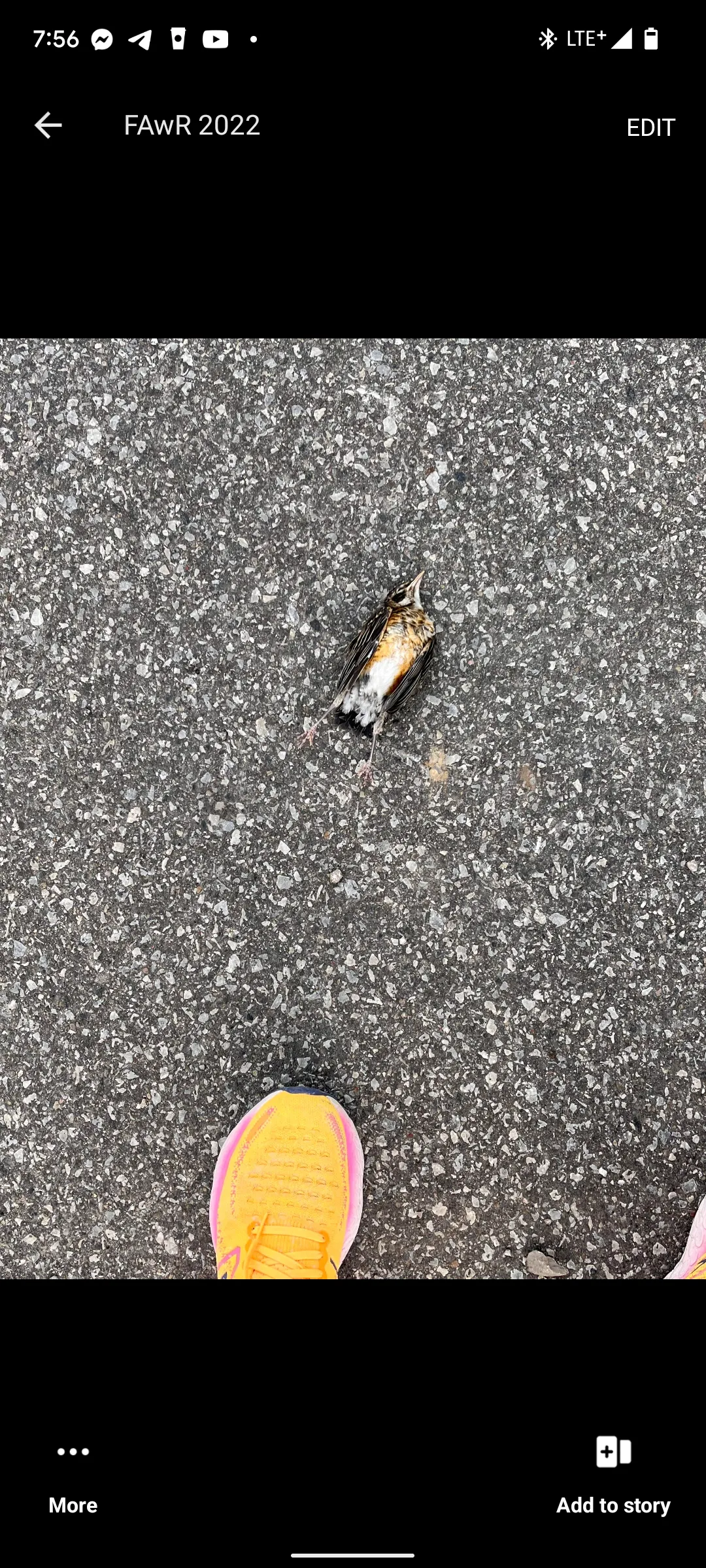 Photo from blog post 180