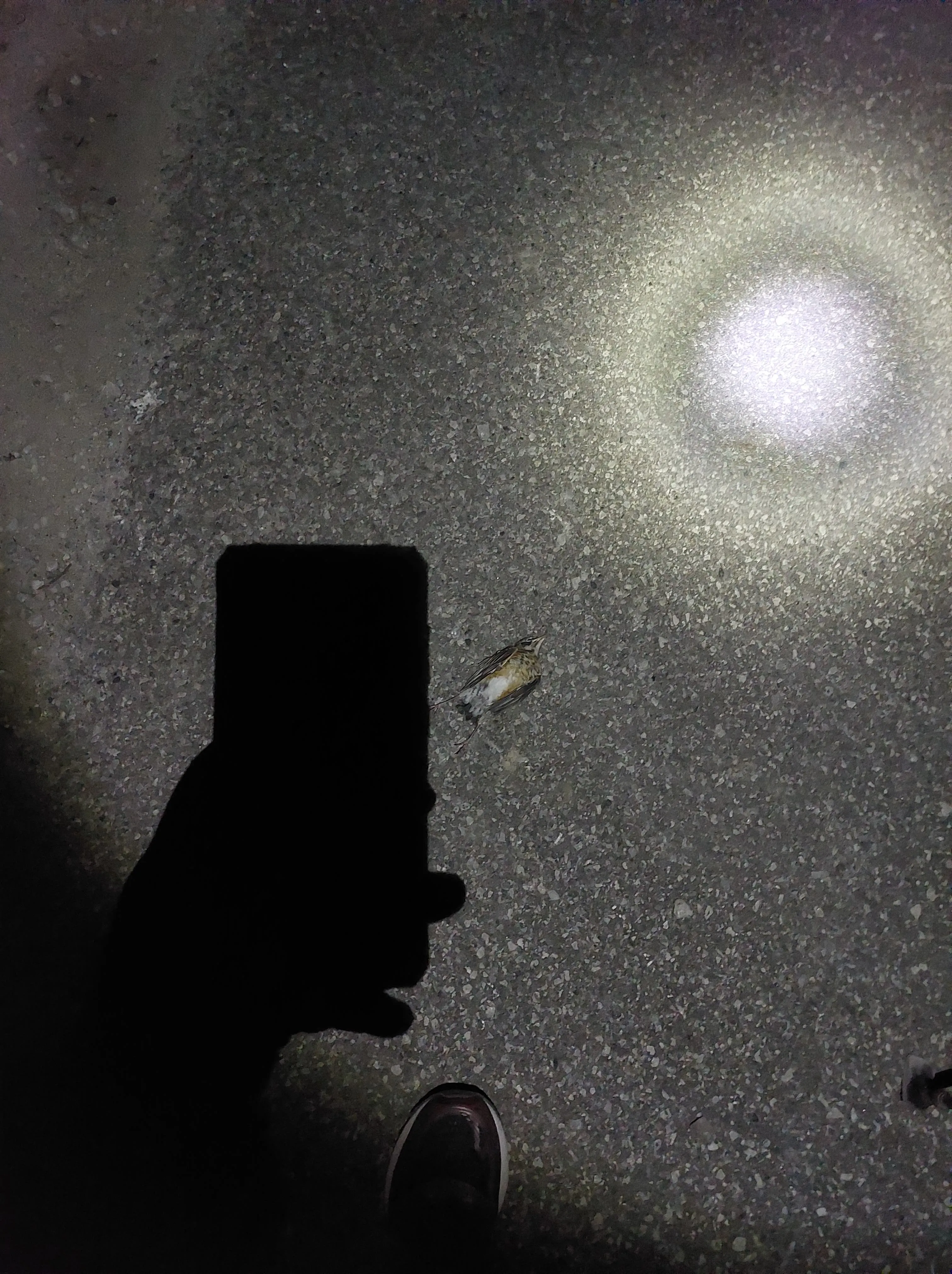 Photo from blog post 180