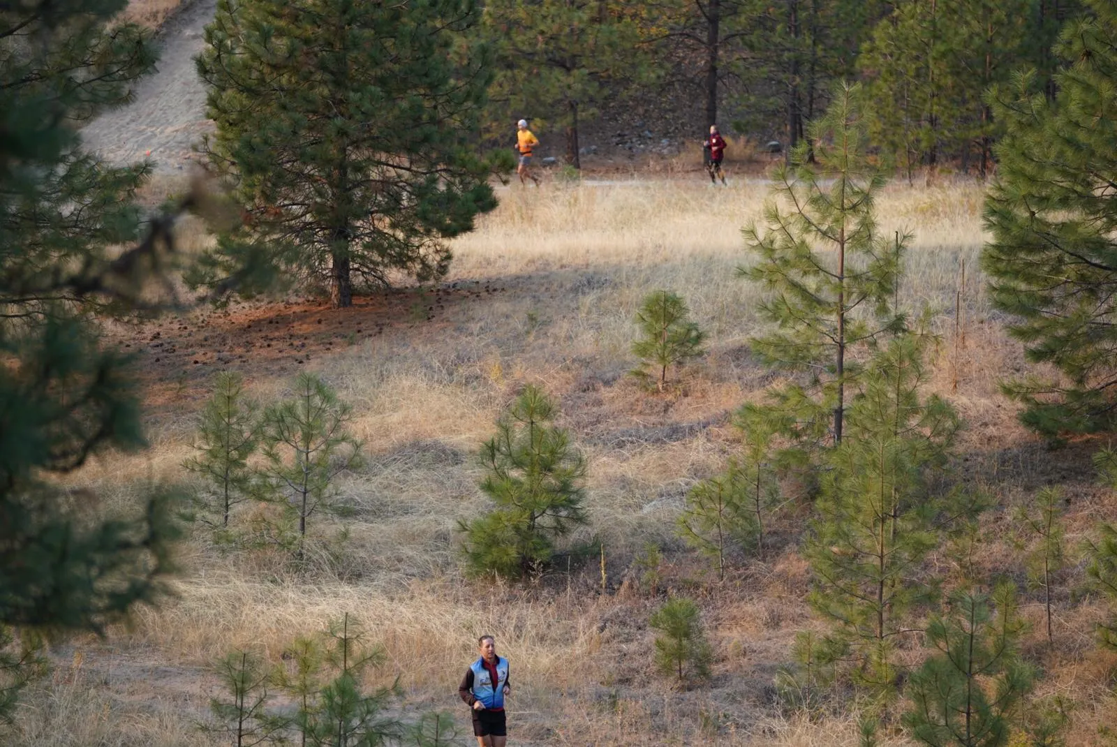 Photo from blog post 181