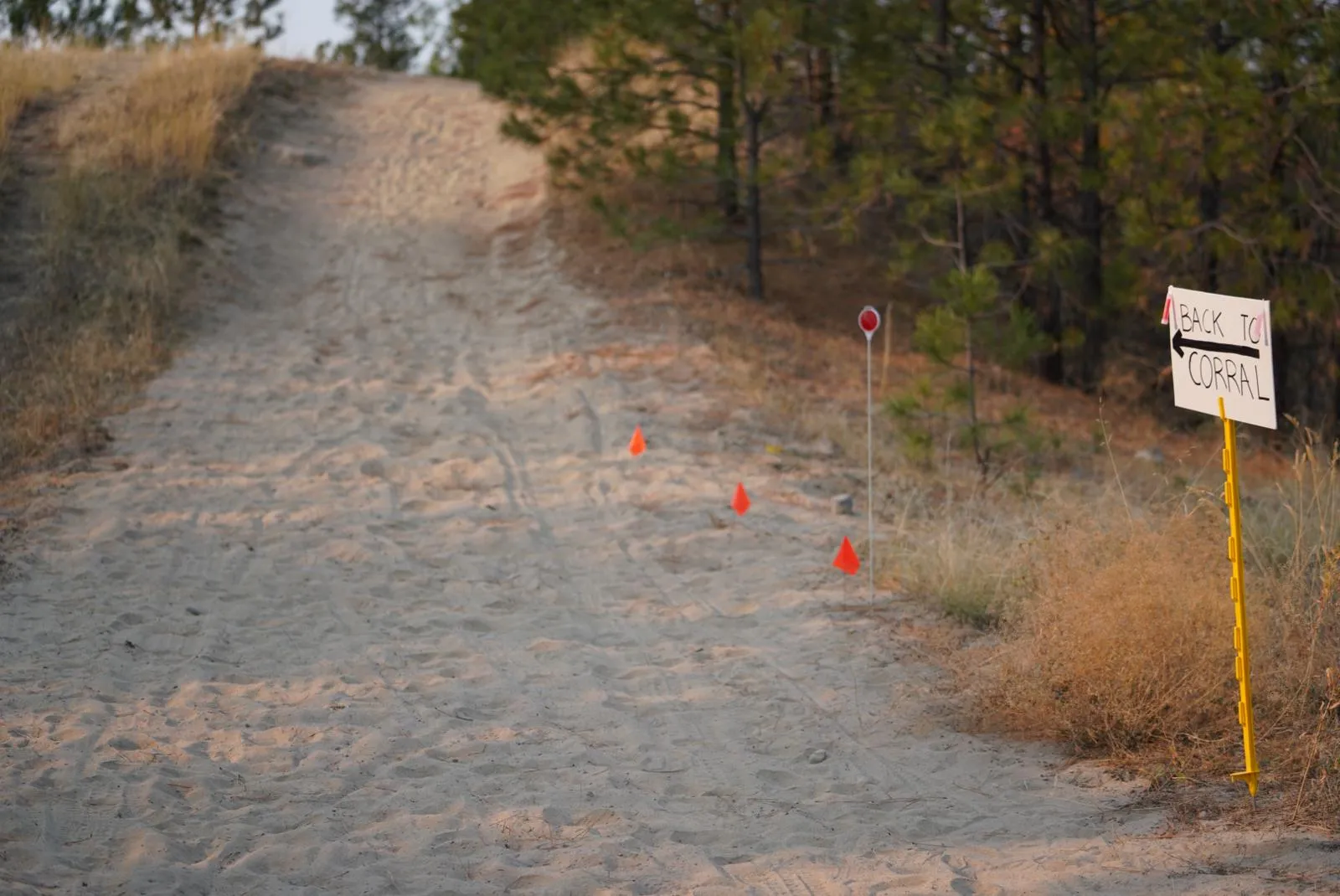 Photo from blog post 181