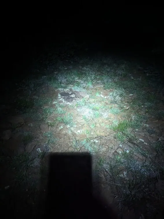 Photo from blog post 182