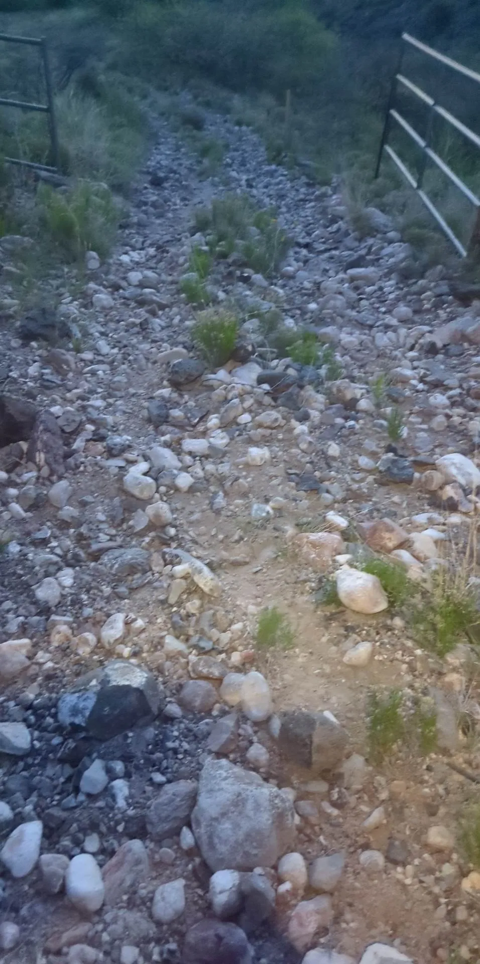 Photo from blog post 182