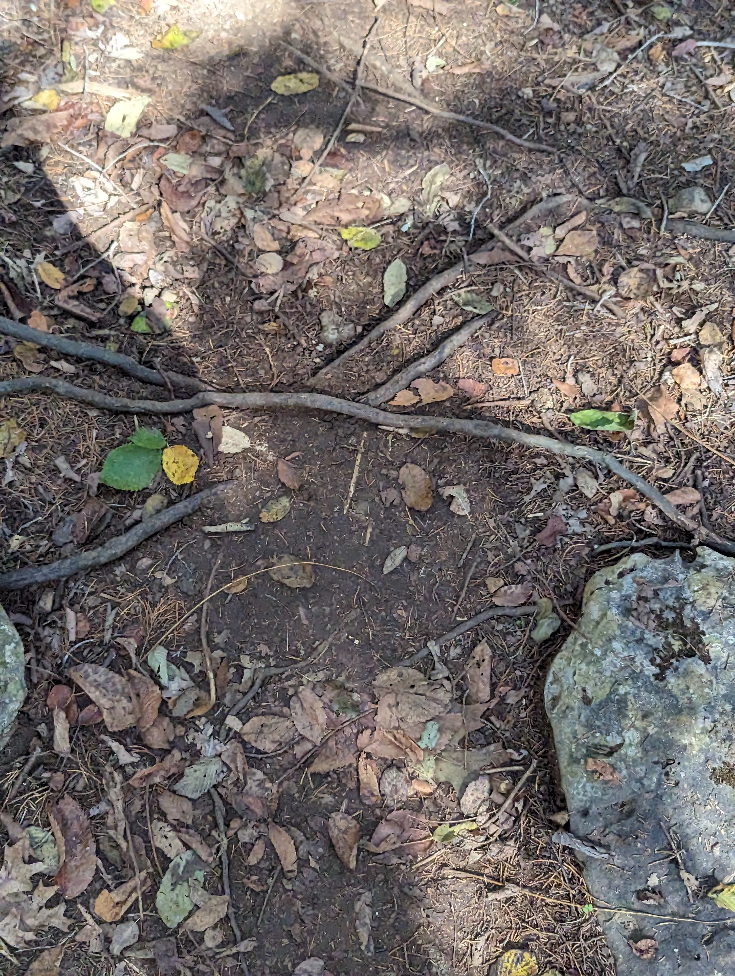 Photo from blog post 185