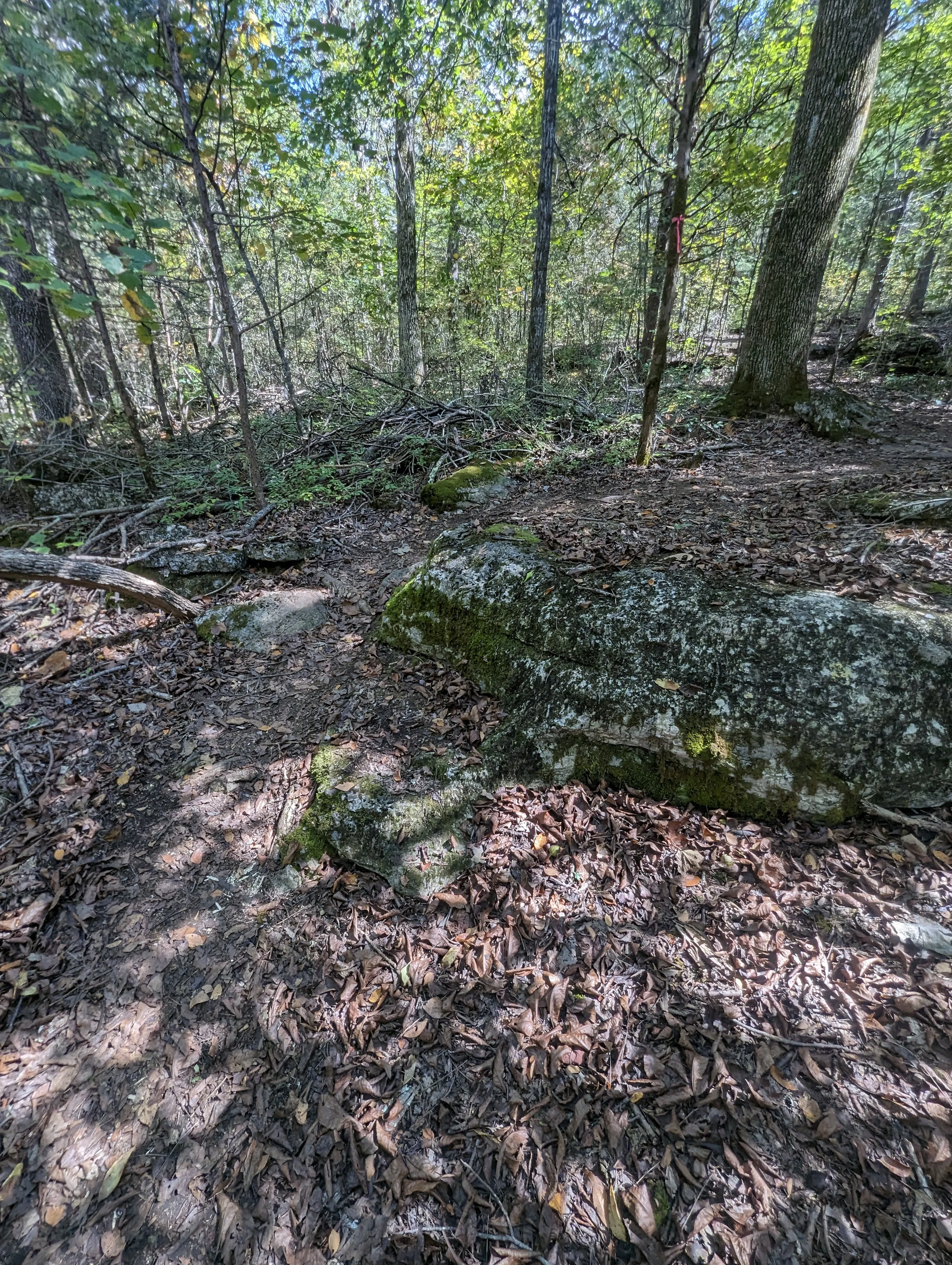 Photo from blog post 185