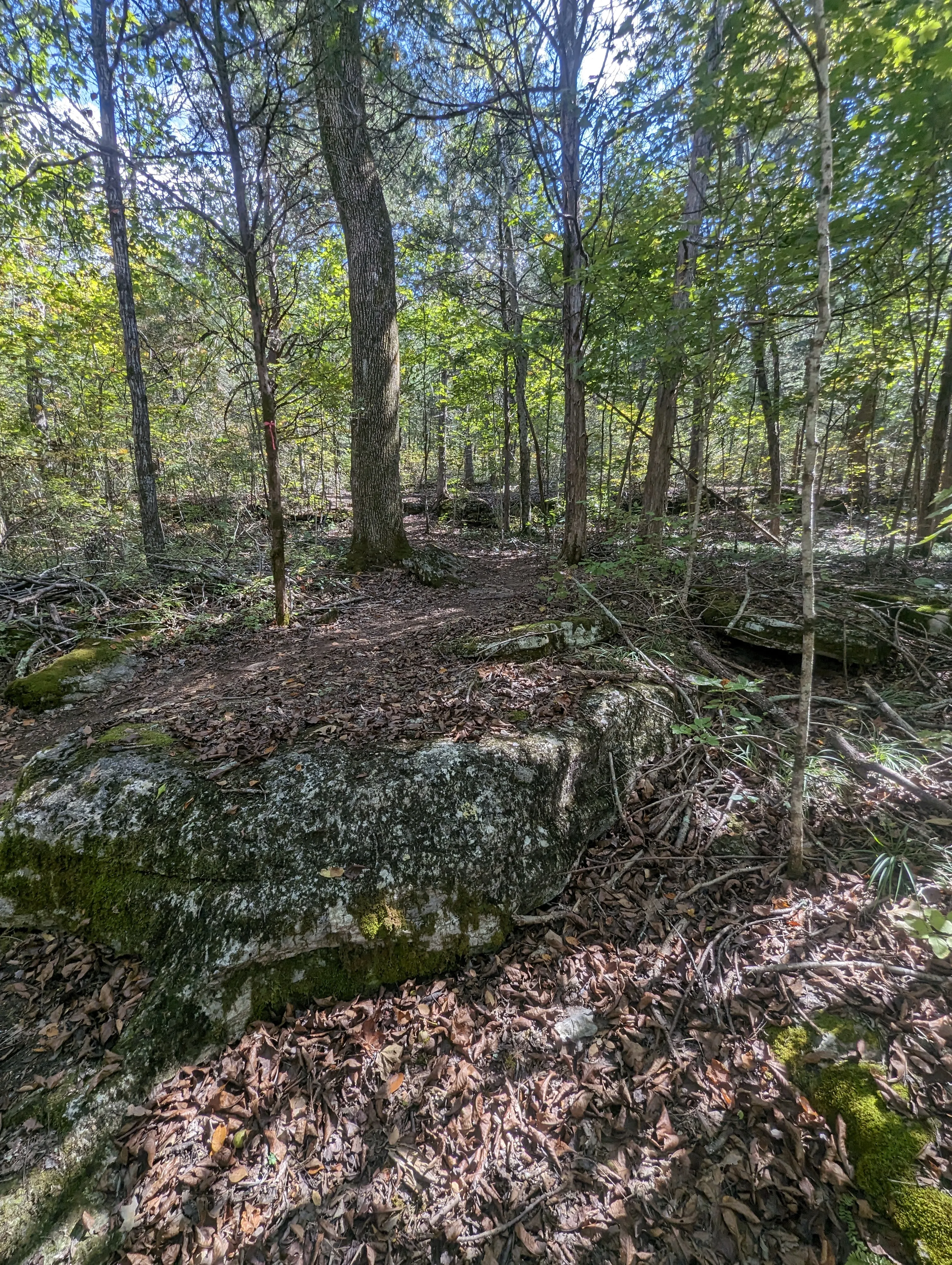 Photo from blog post 185