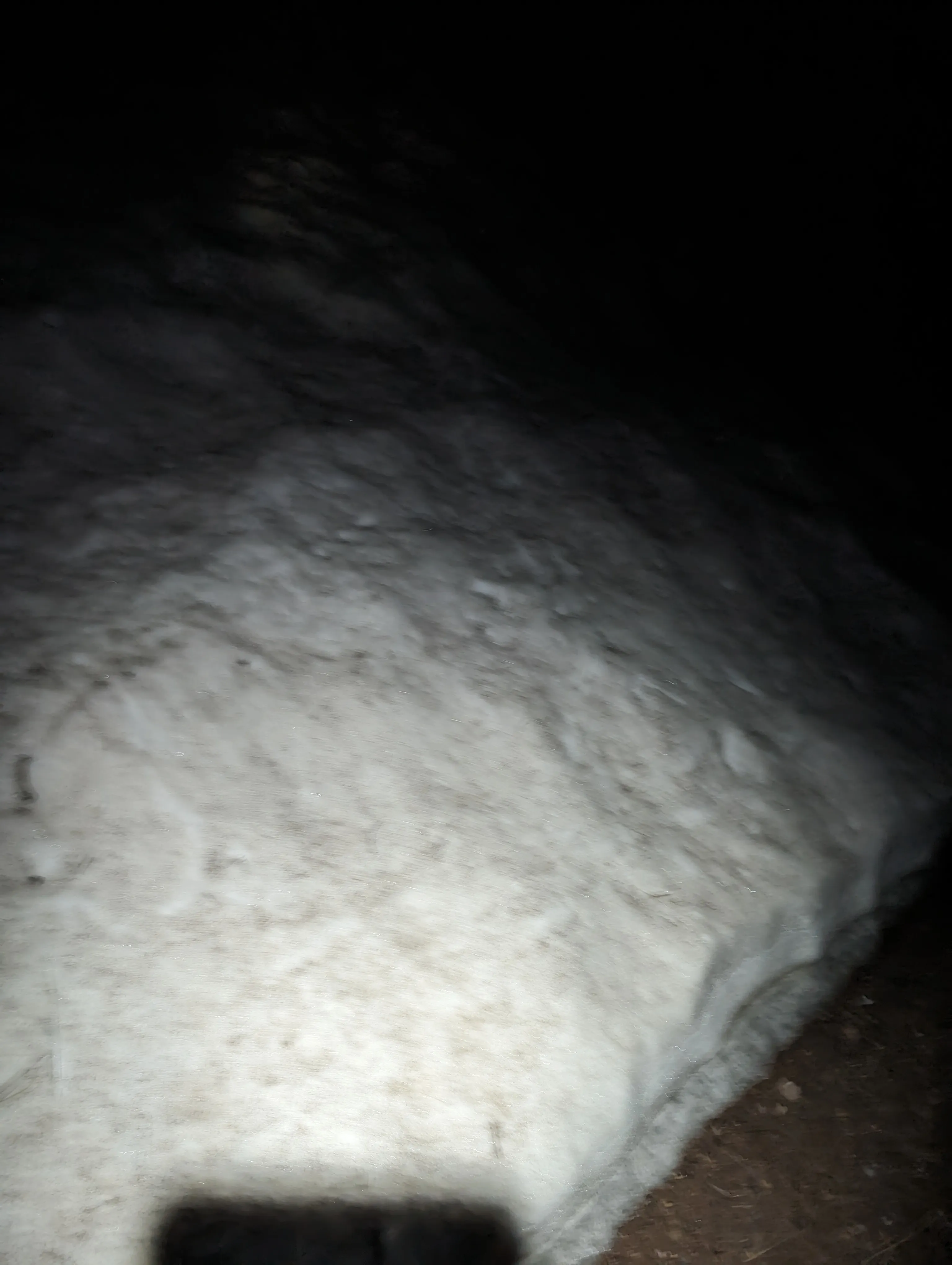 Photo from blog post 187