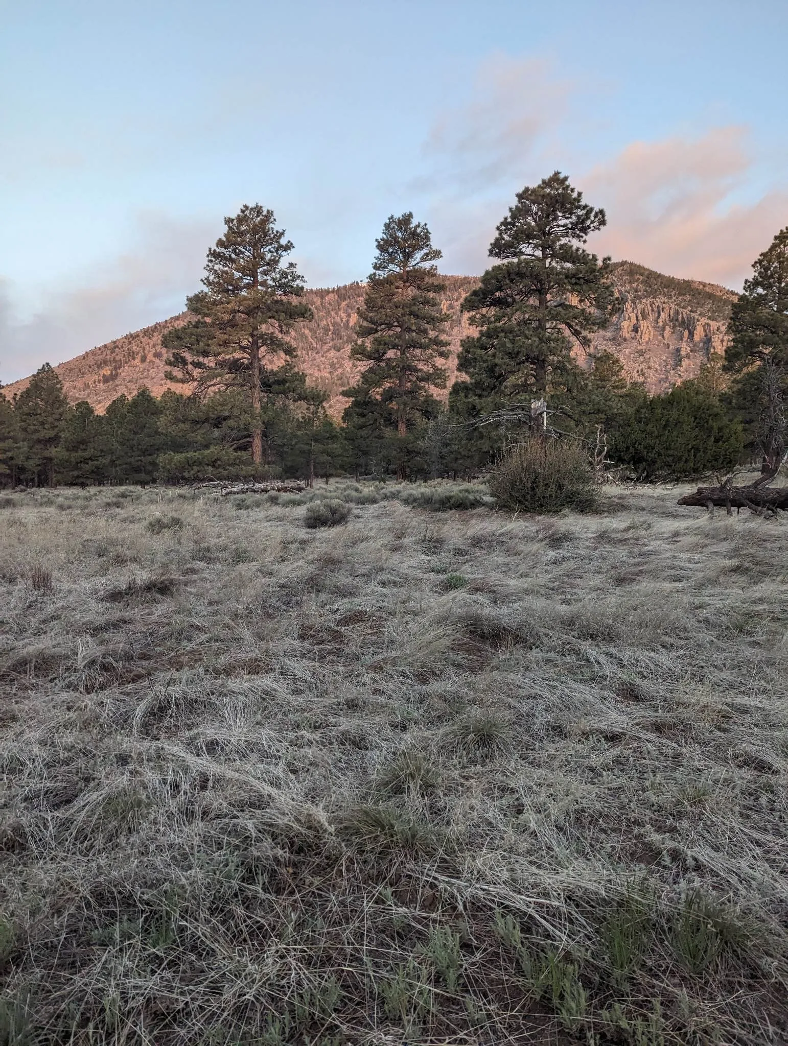 Photo from blog post 187