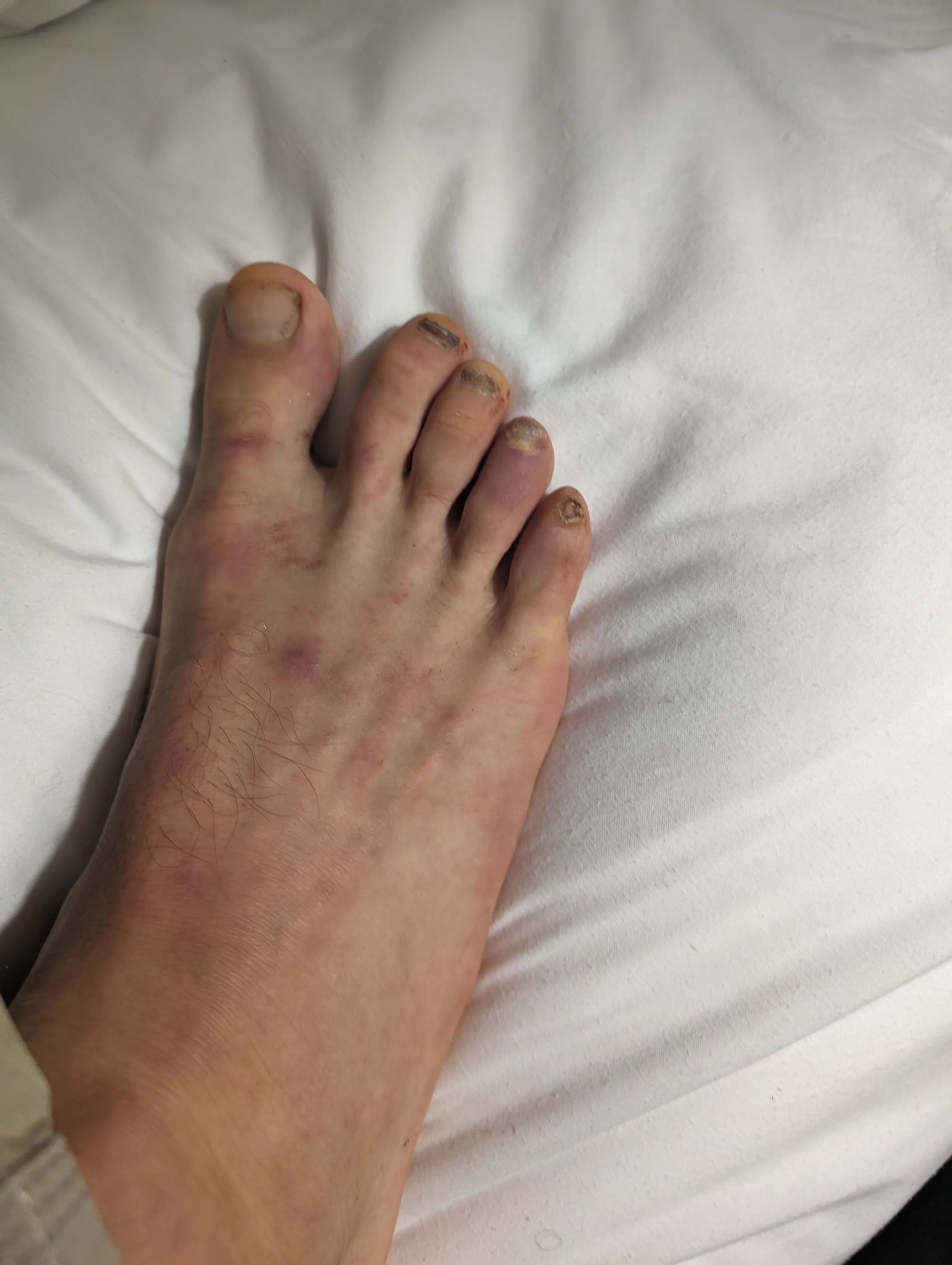 Photo from blog post 187