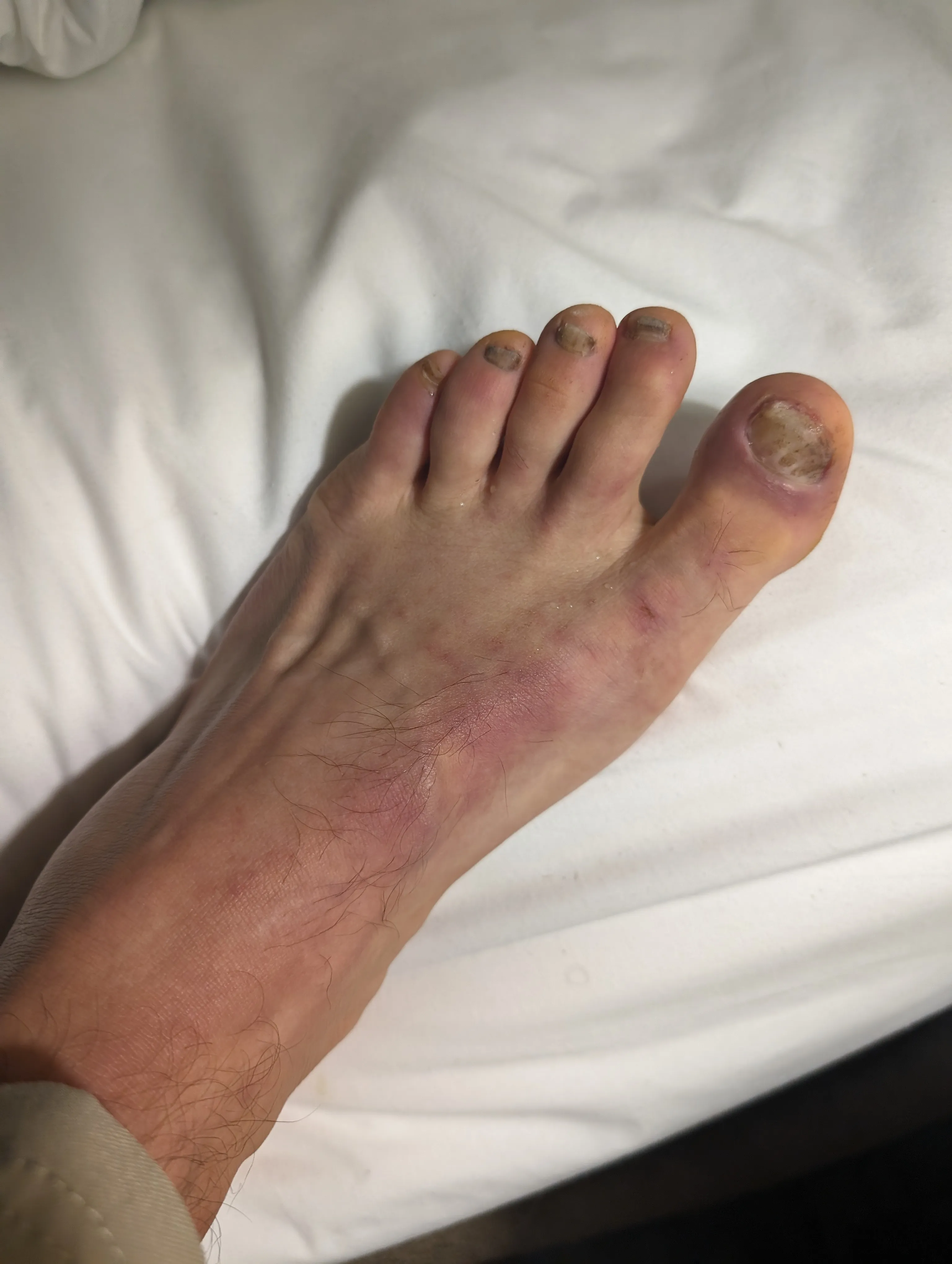 Photo from blog post 187