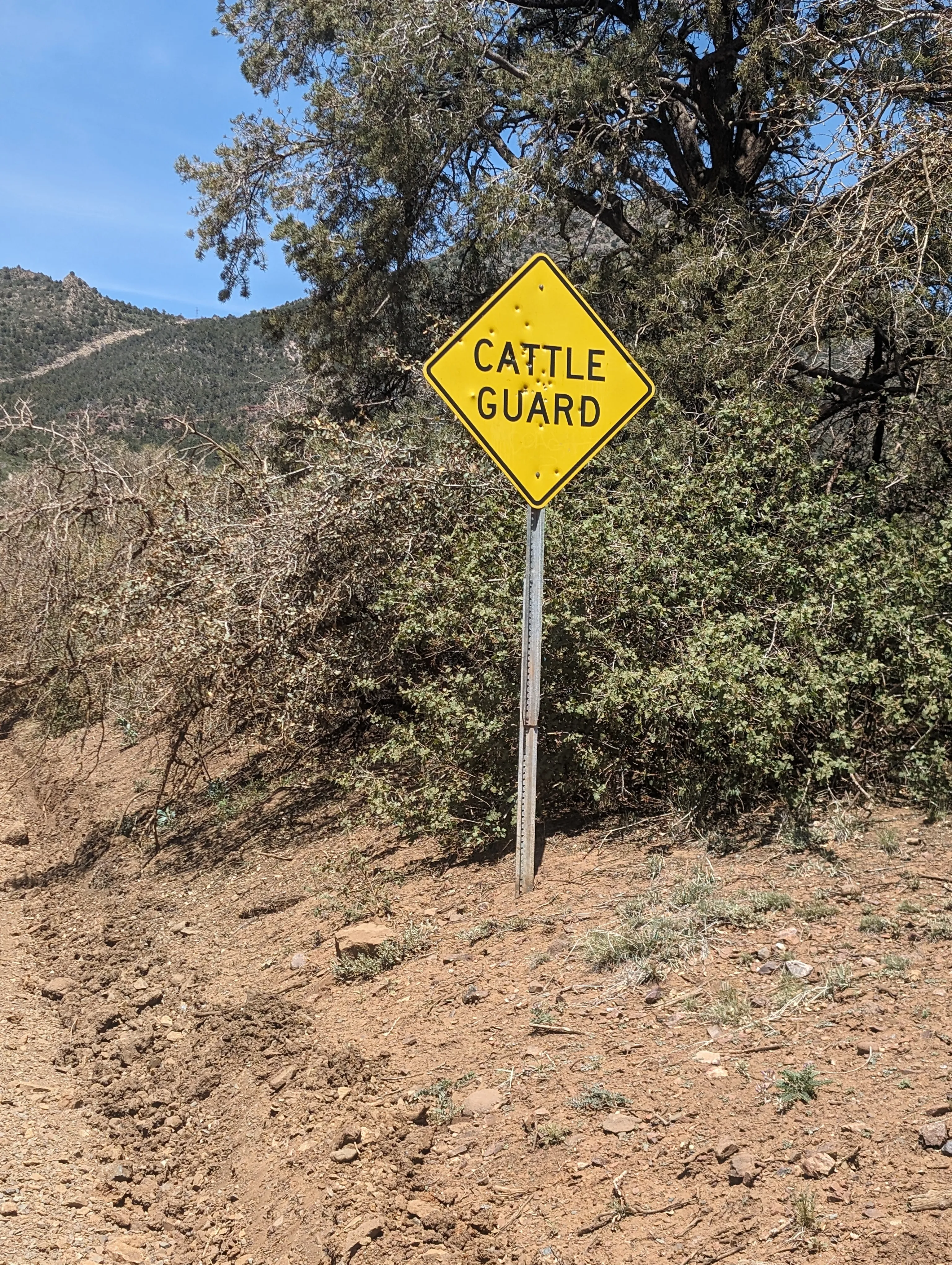 Photo from blog post 187