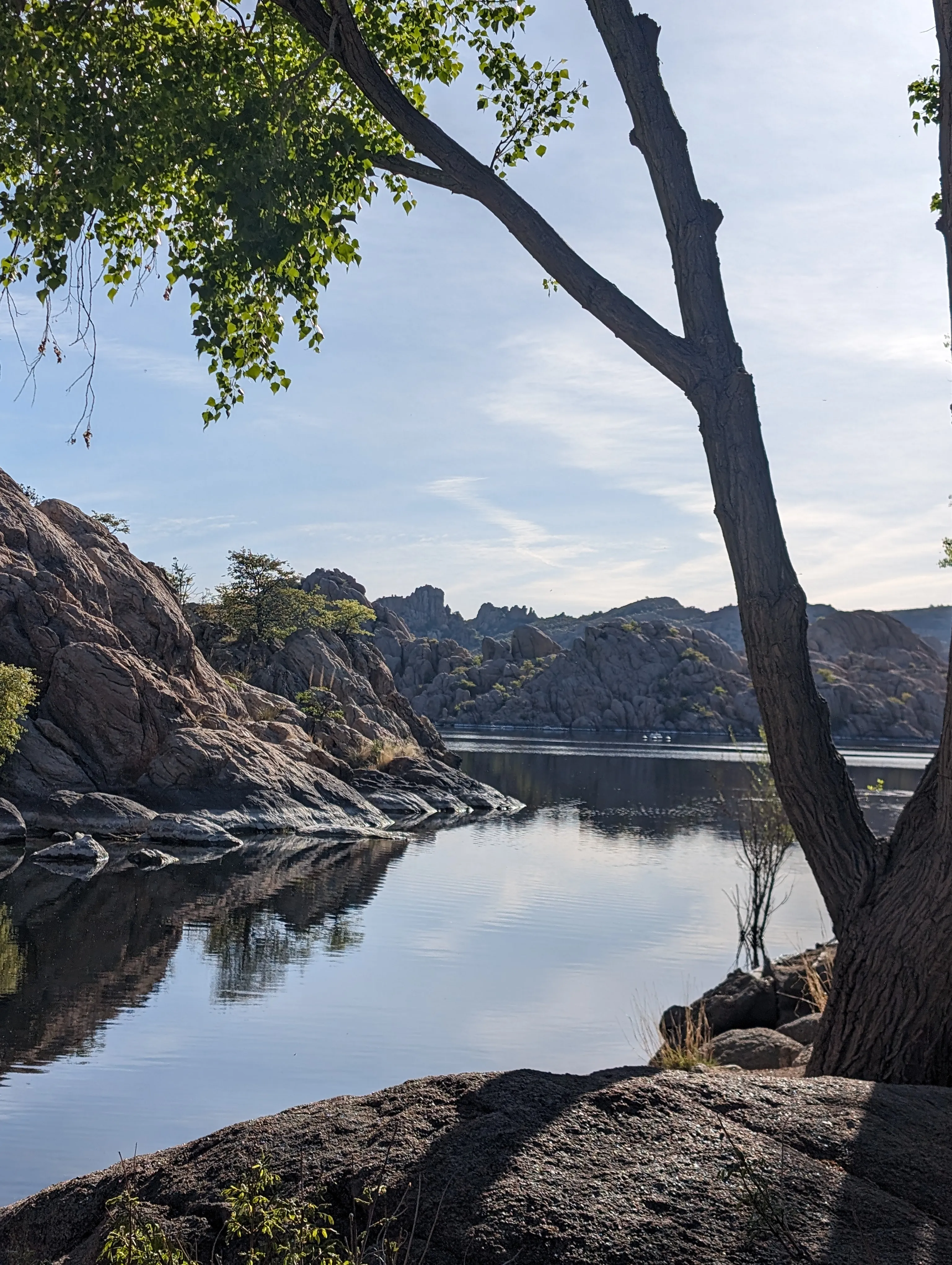 Photo from blog post 187