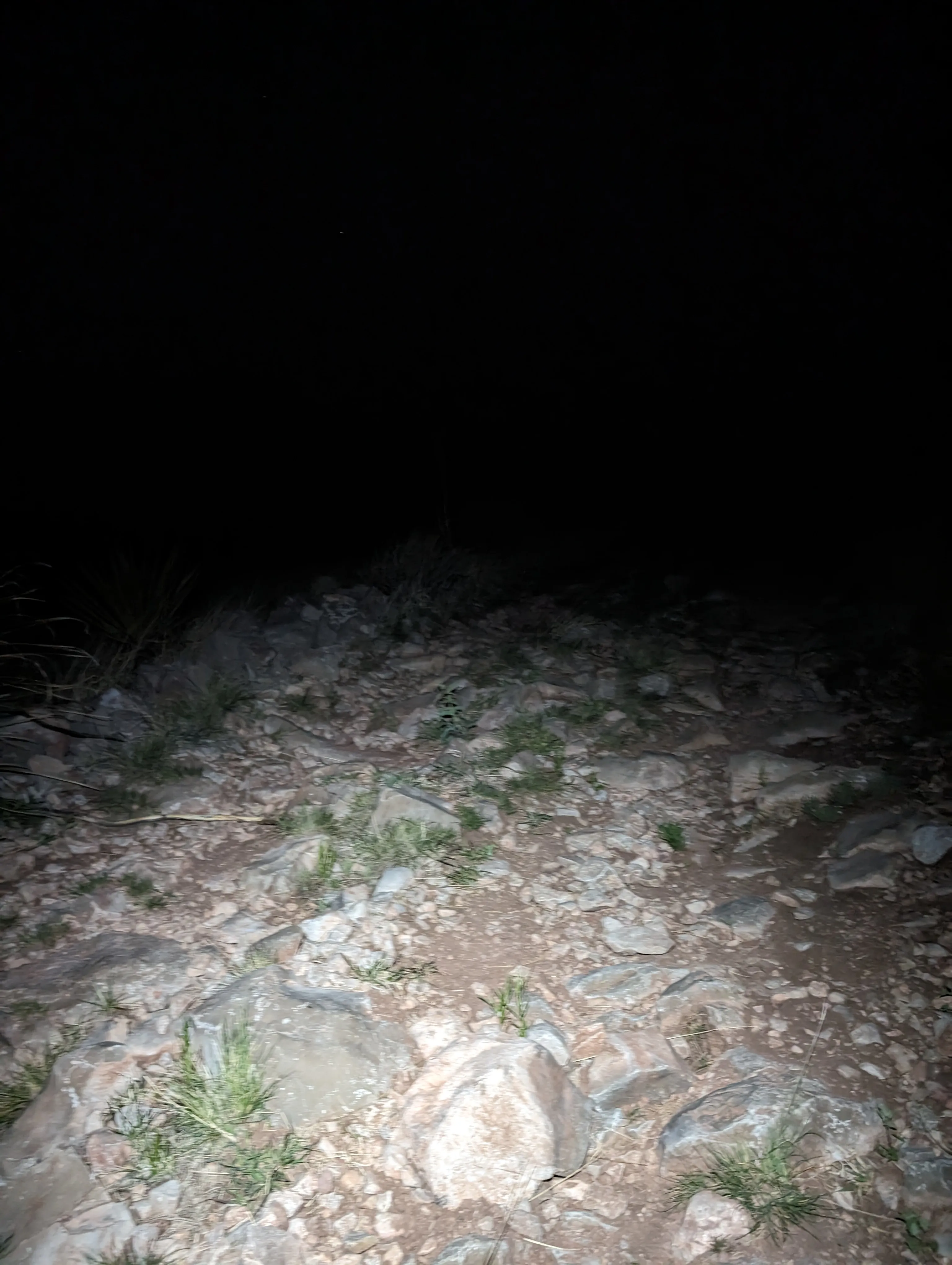 Photo from blog post 187