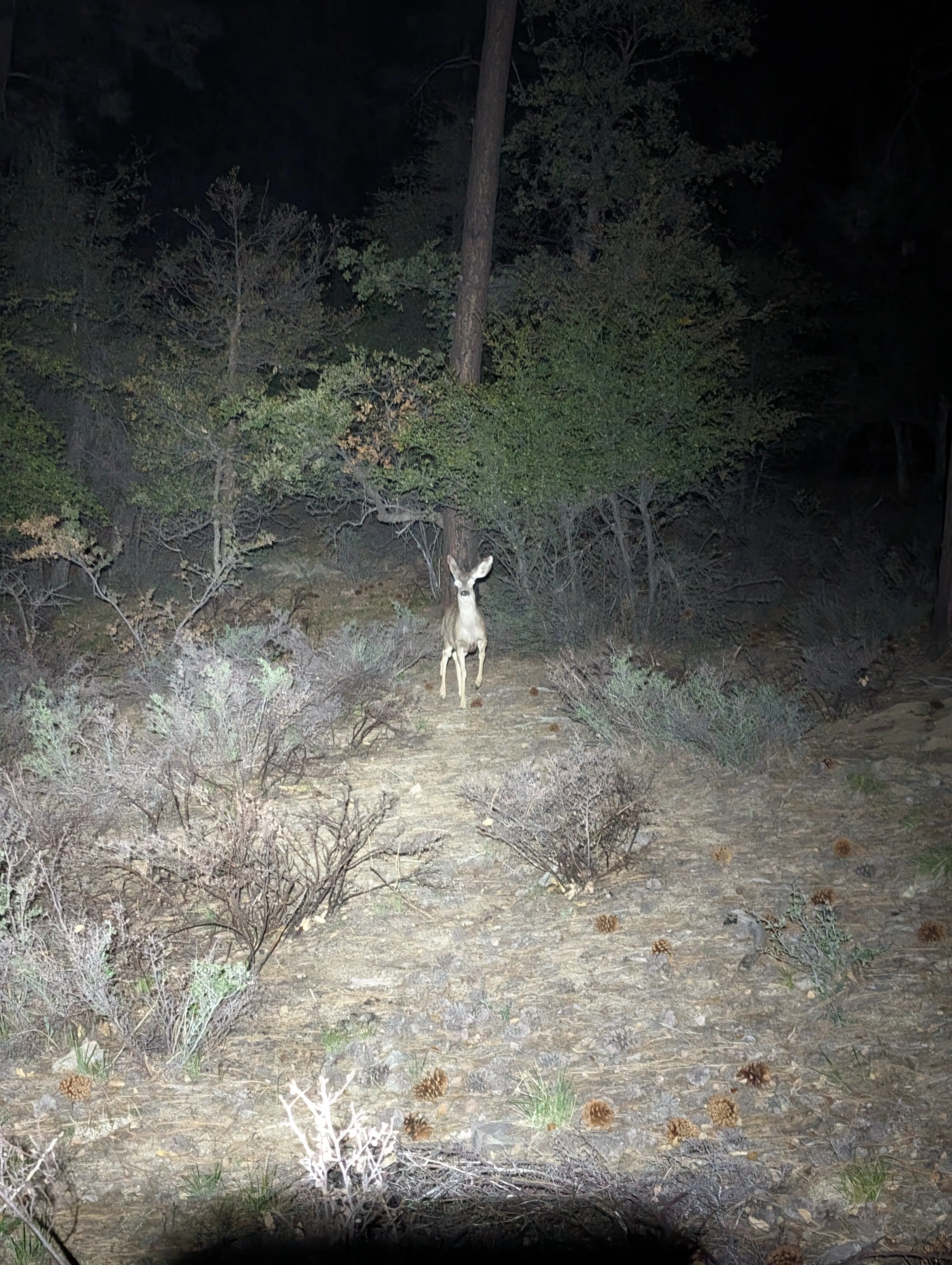 Photo from blog post 187