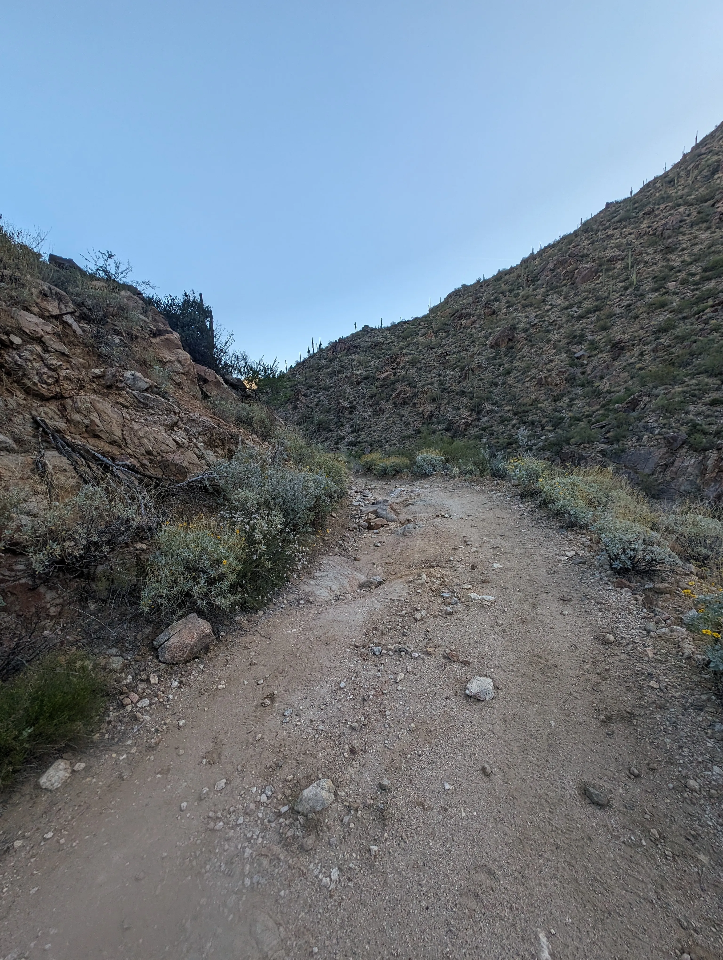 Photo from blog post 187