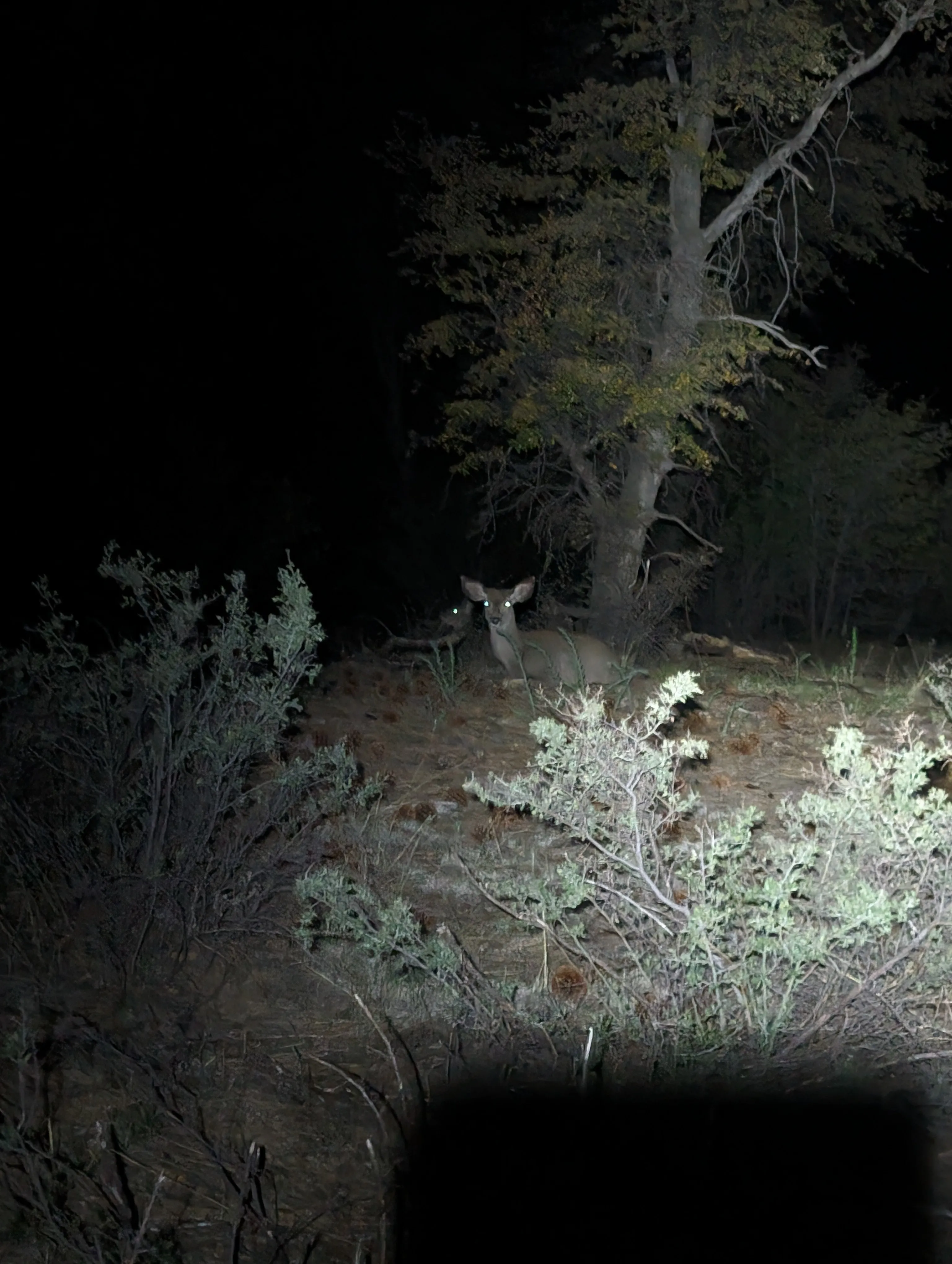 Photo from blog post 187