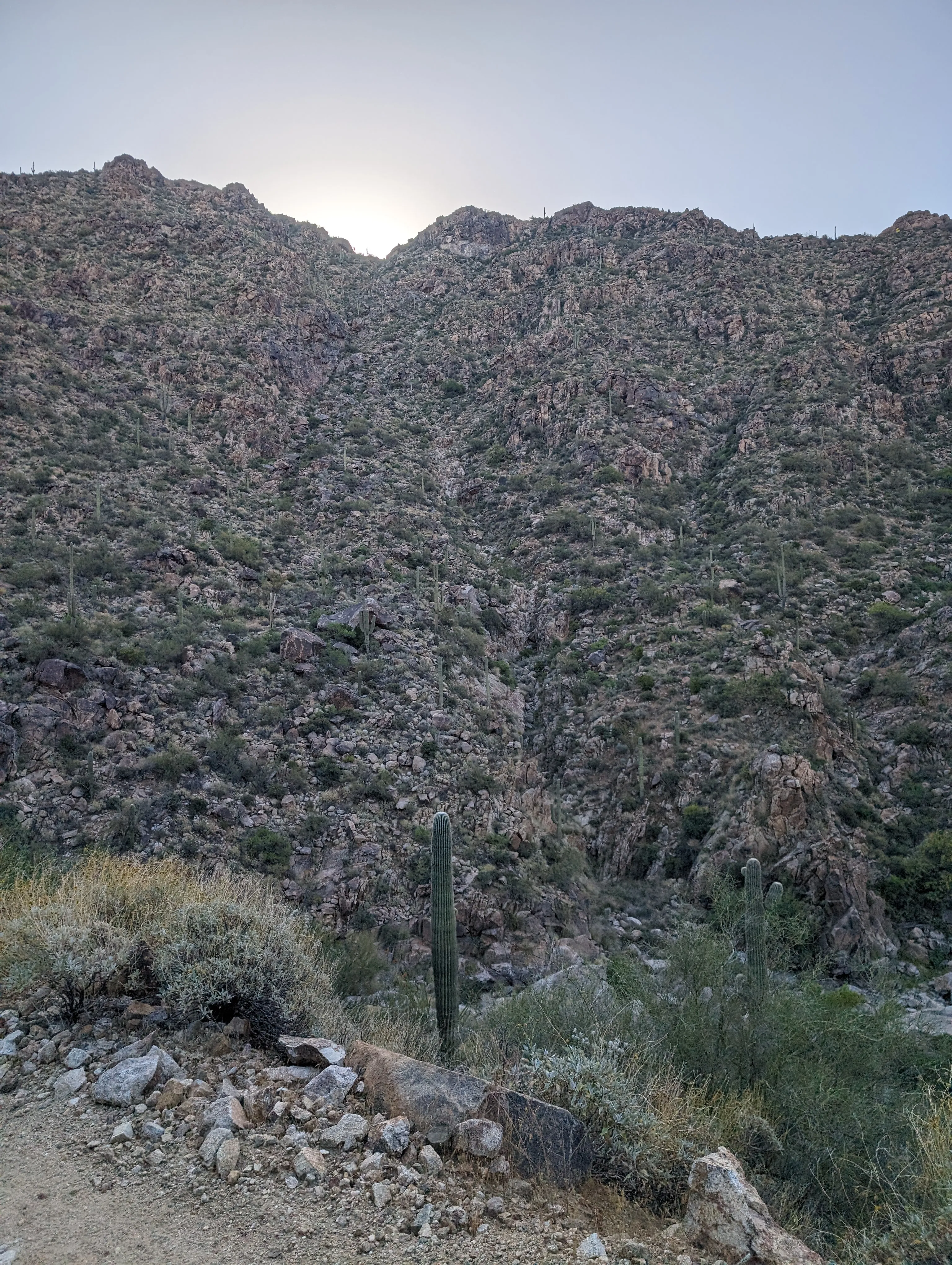 Preview image for Cocodona 2024