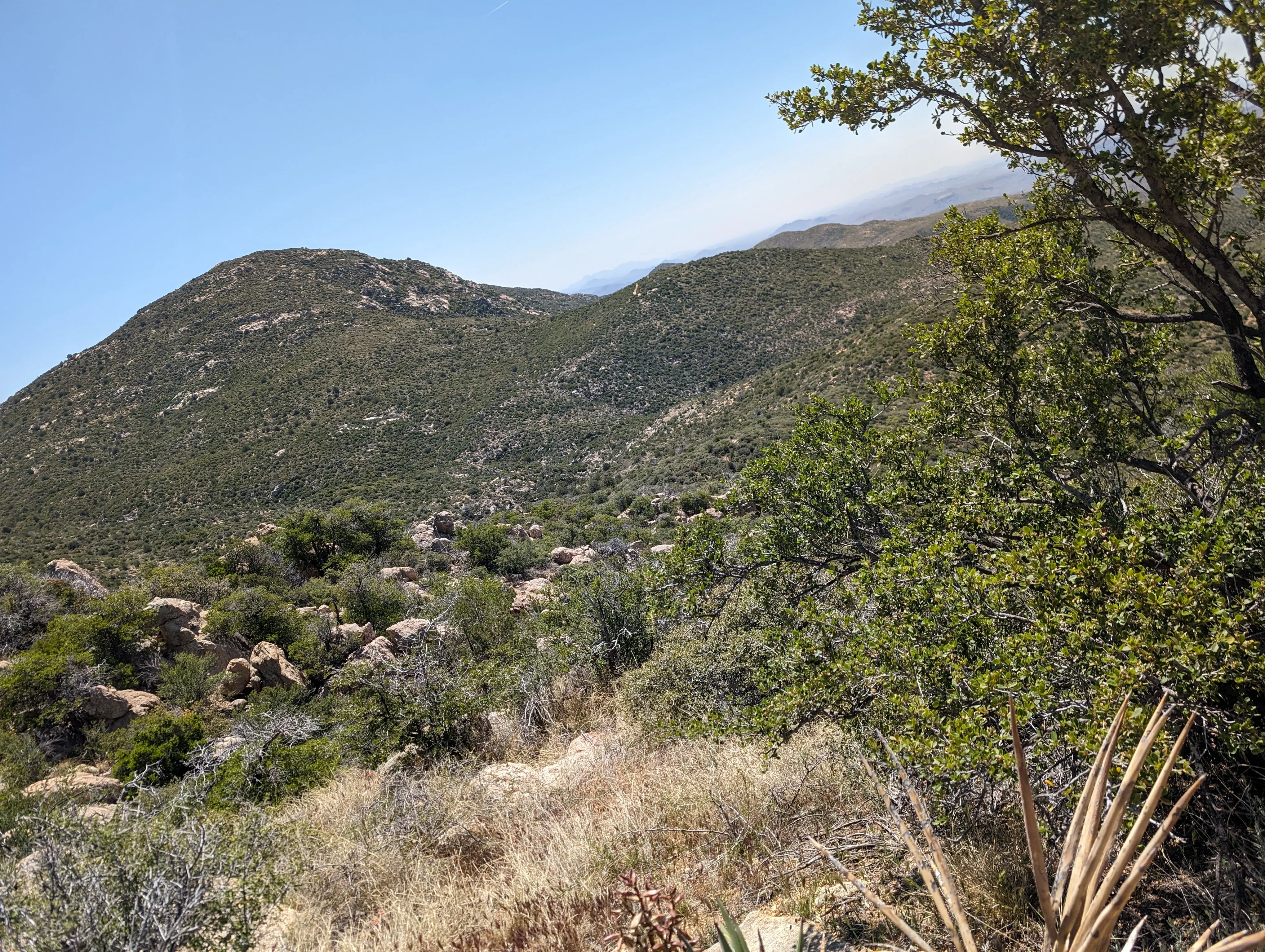 Photo from blog post 187