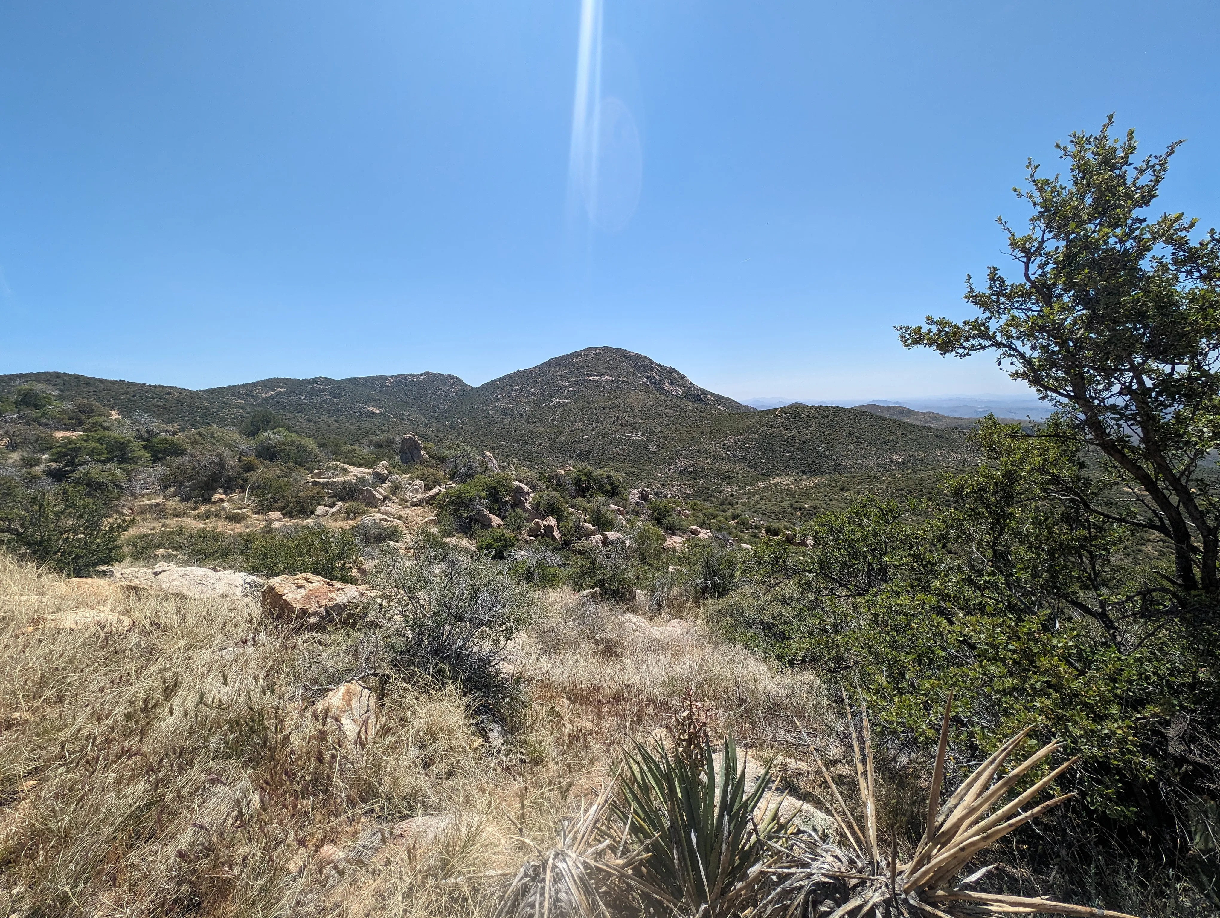 Photo from blog post 187