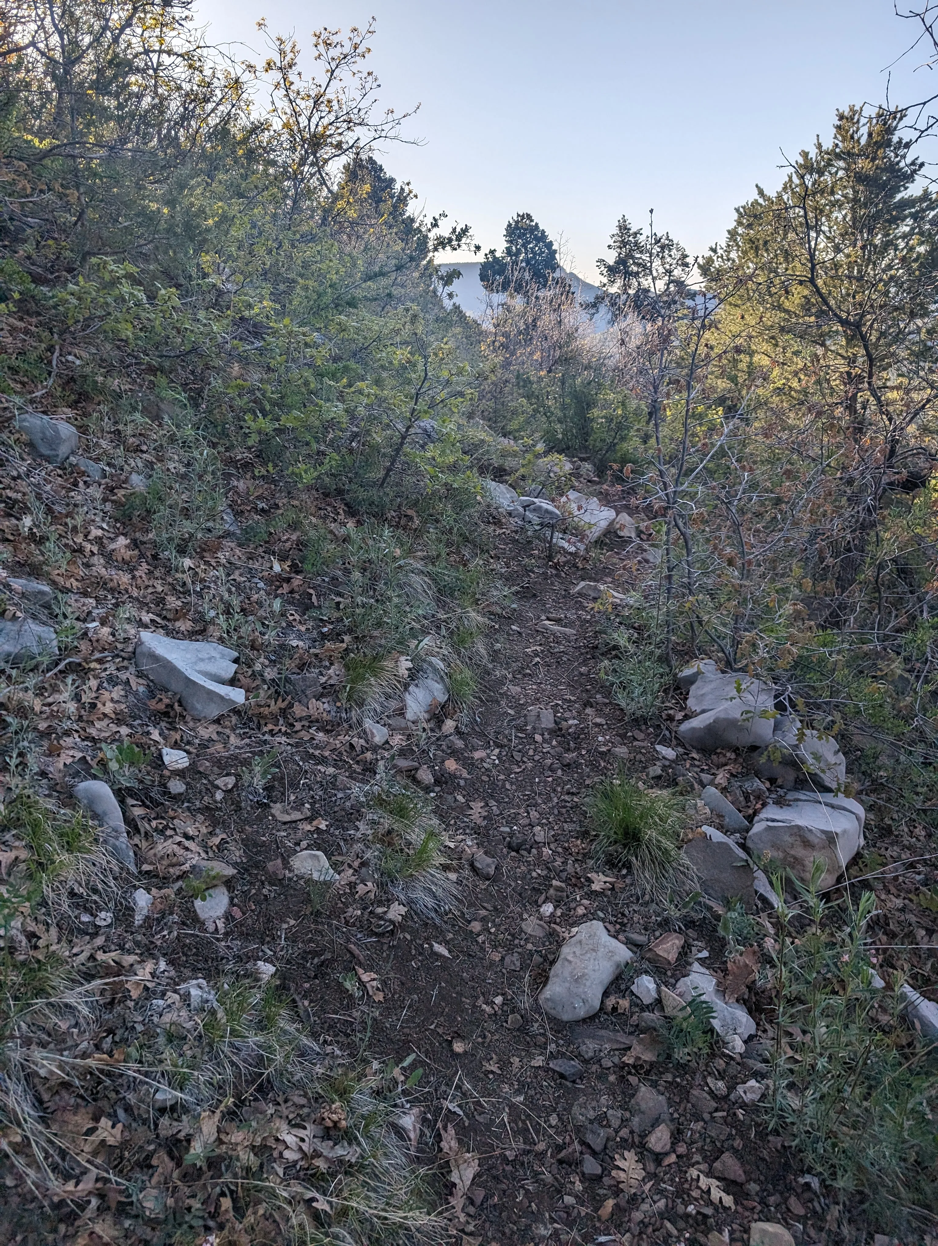 Photo from blog post 187