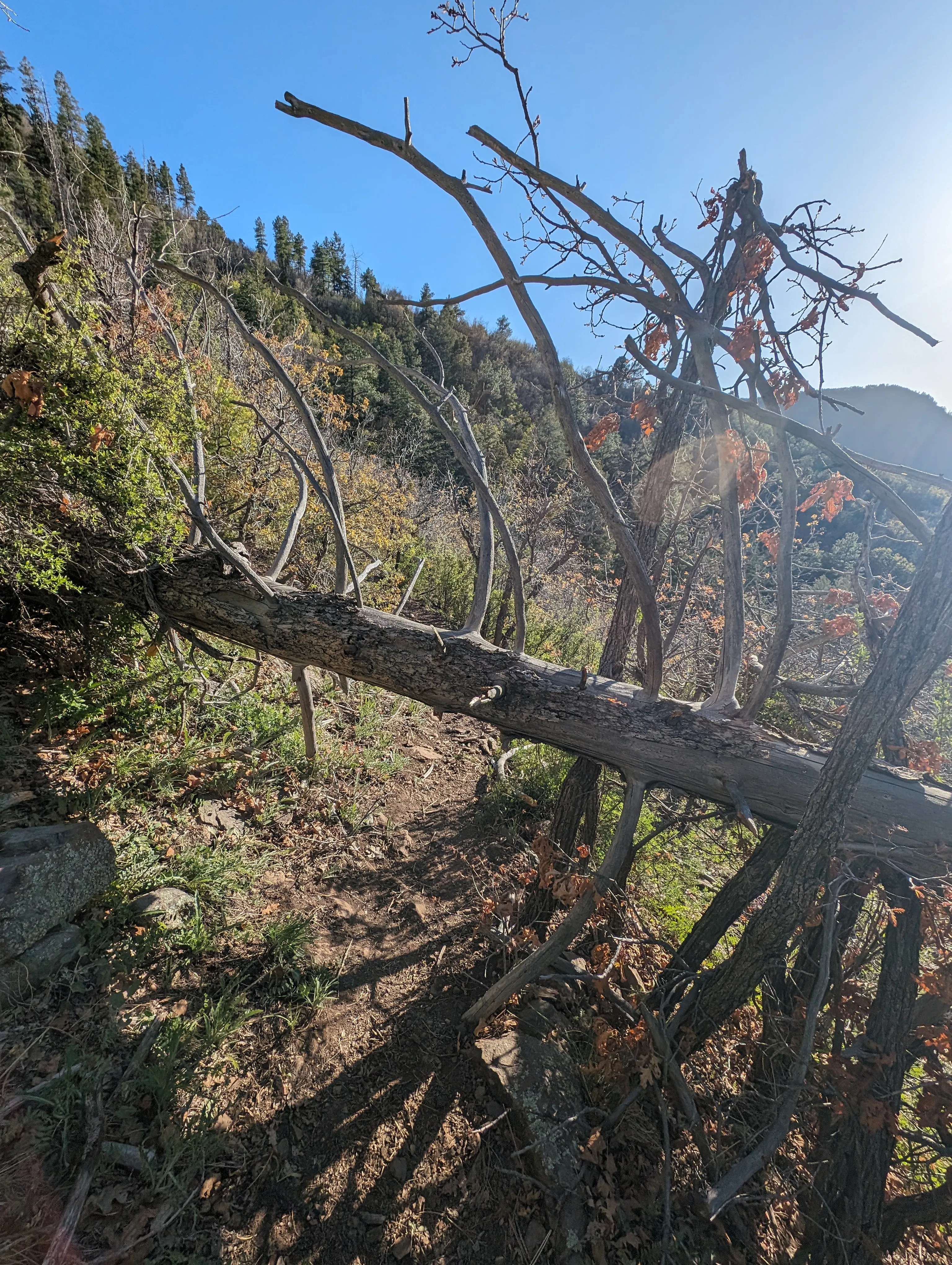 Photo from blog post 187