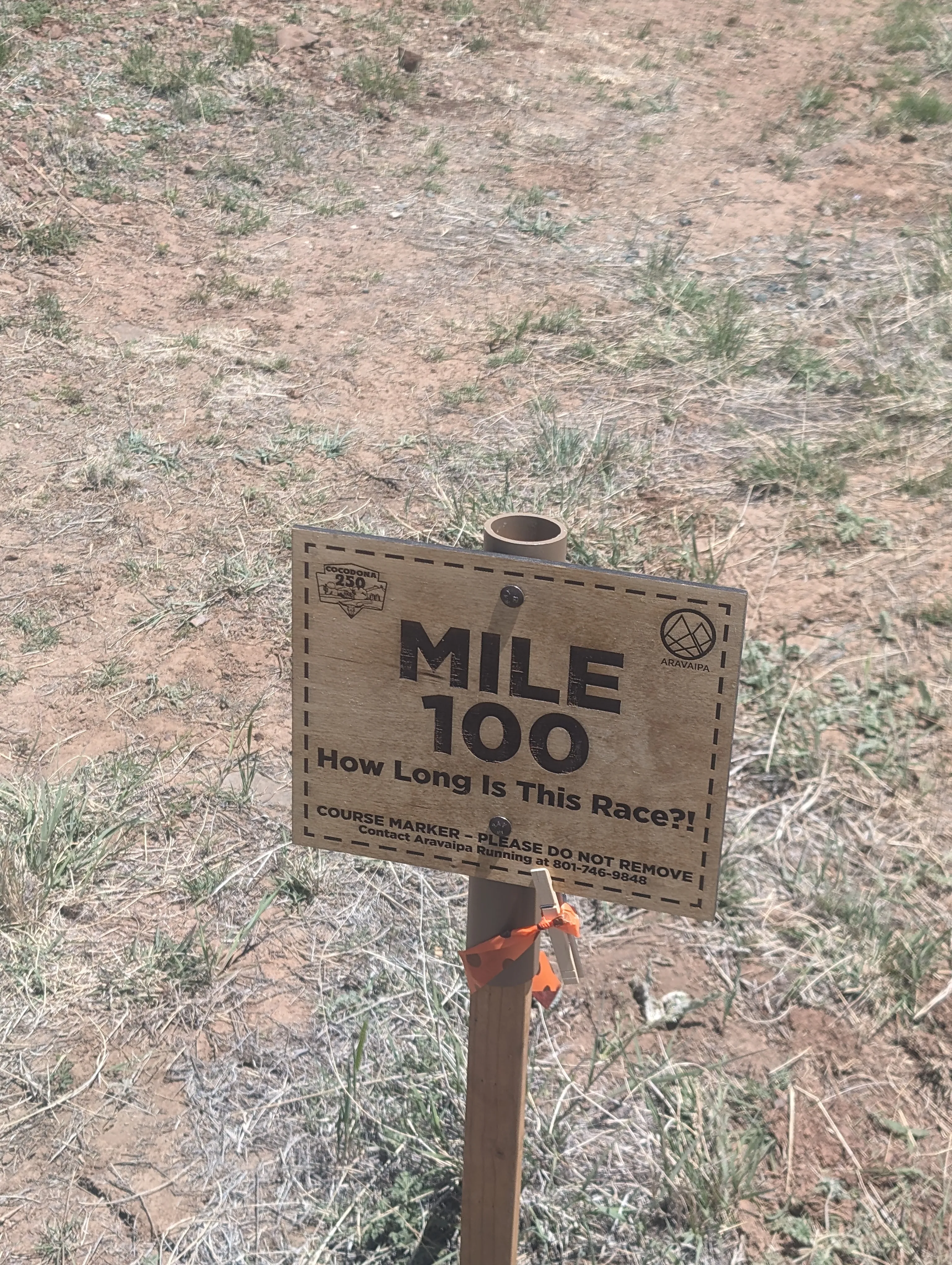 Photo from blog post 187