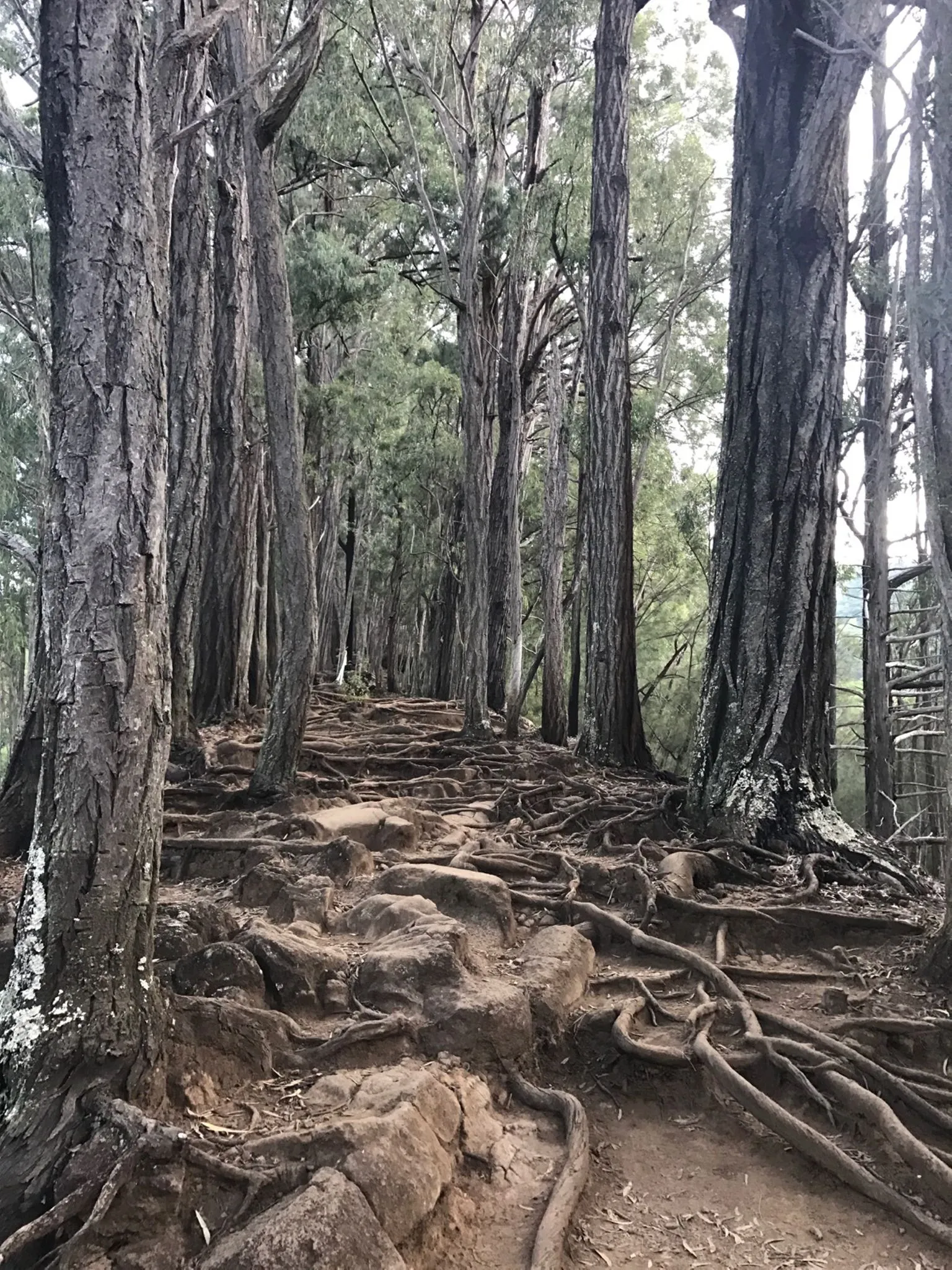 Preview image for Can confirm, HURT 100 hurts