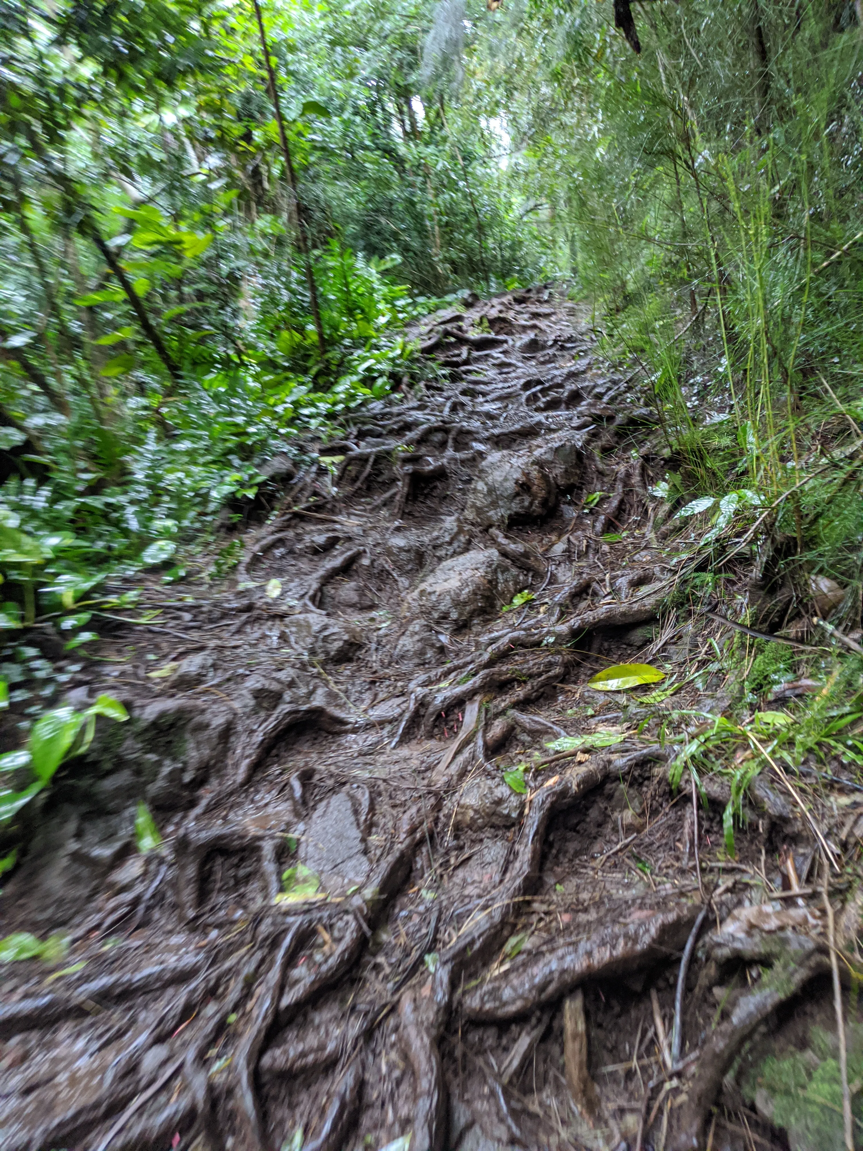 Photo from blog post 188