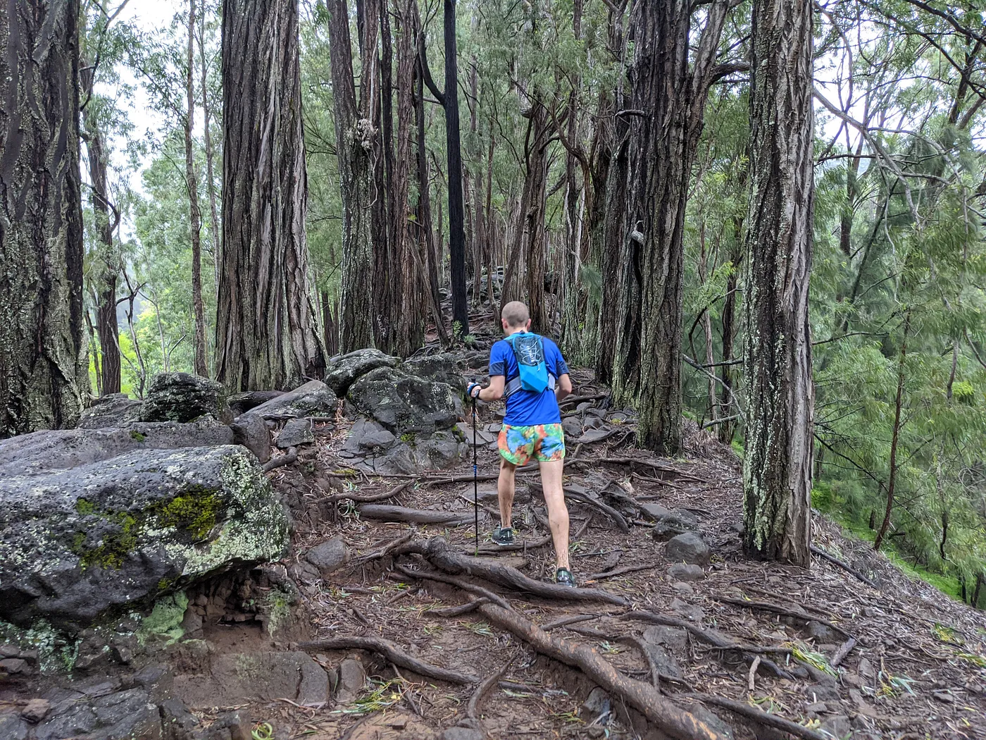 Photo from blog post 188