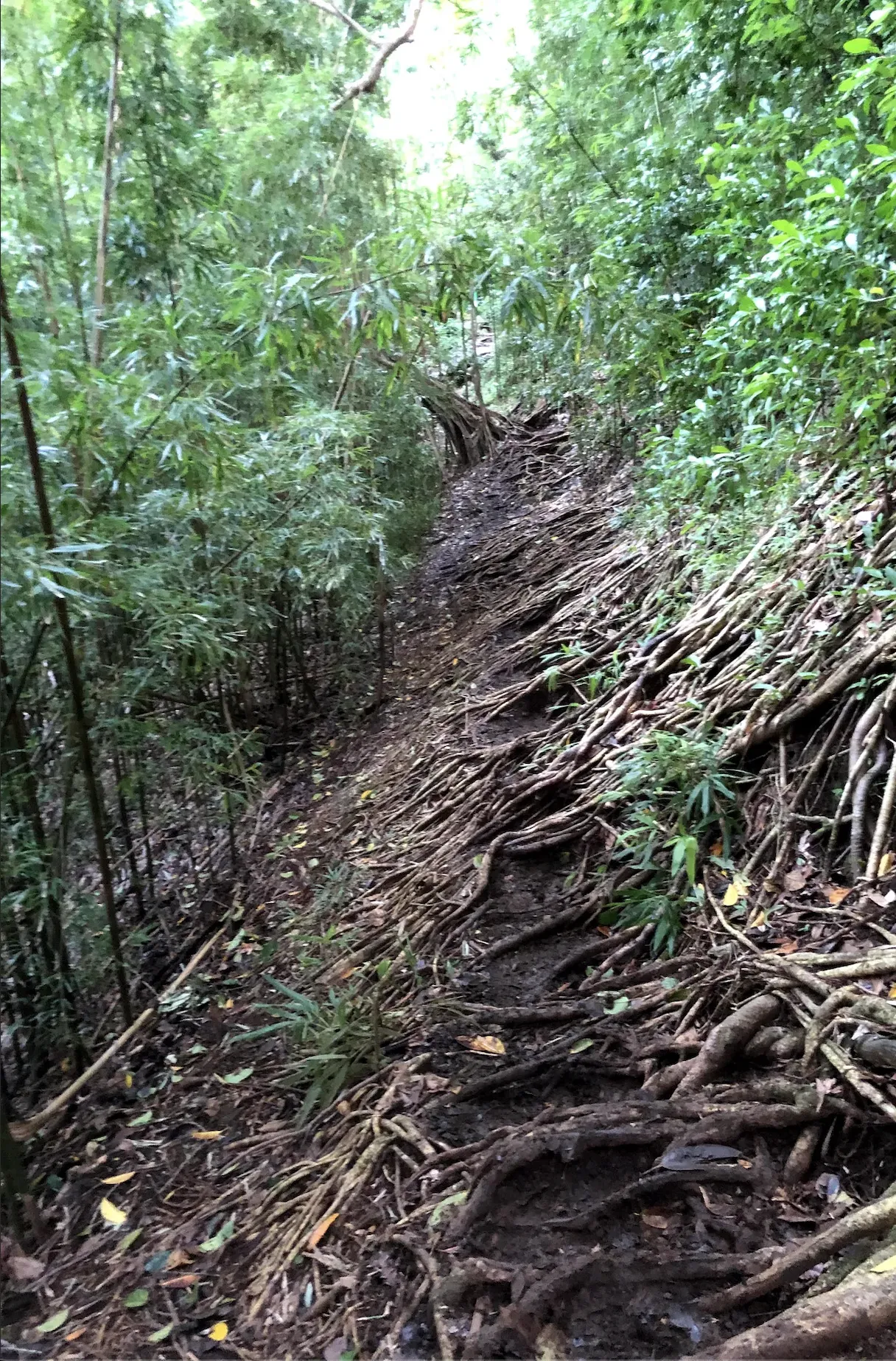 Photo from blog post 188