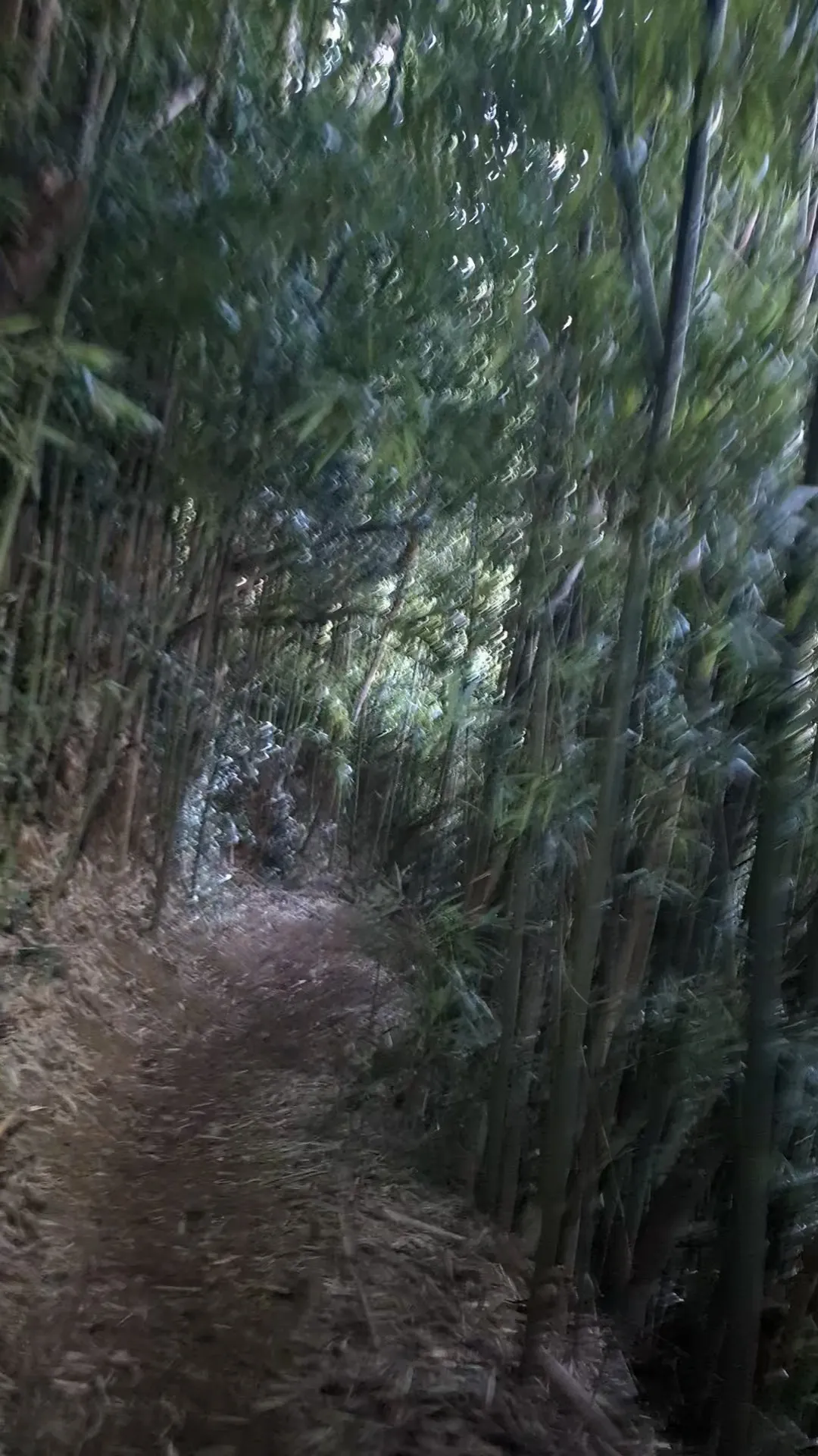 Photo from blog post 188