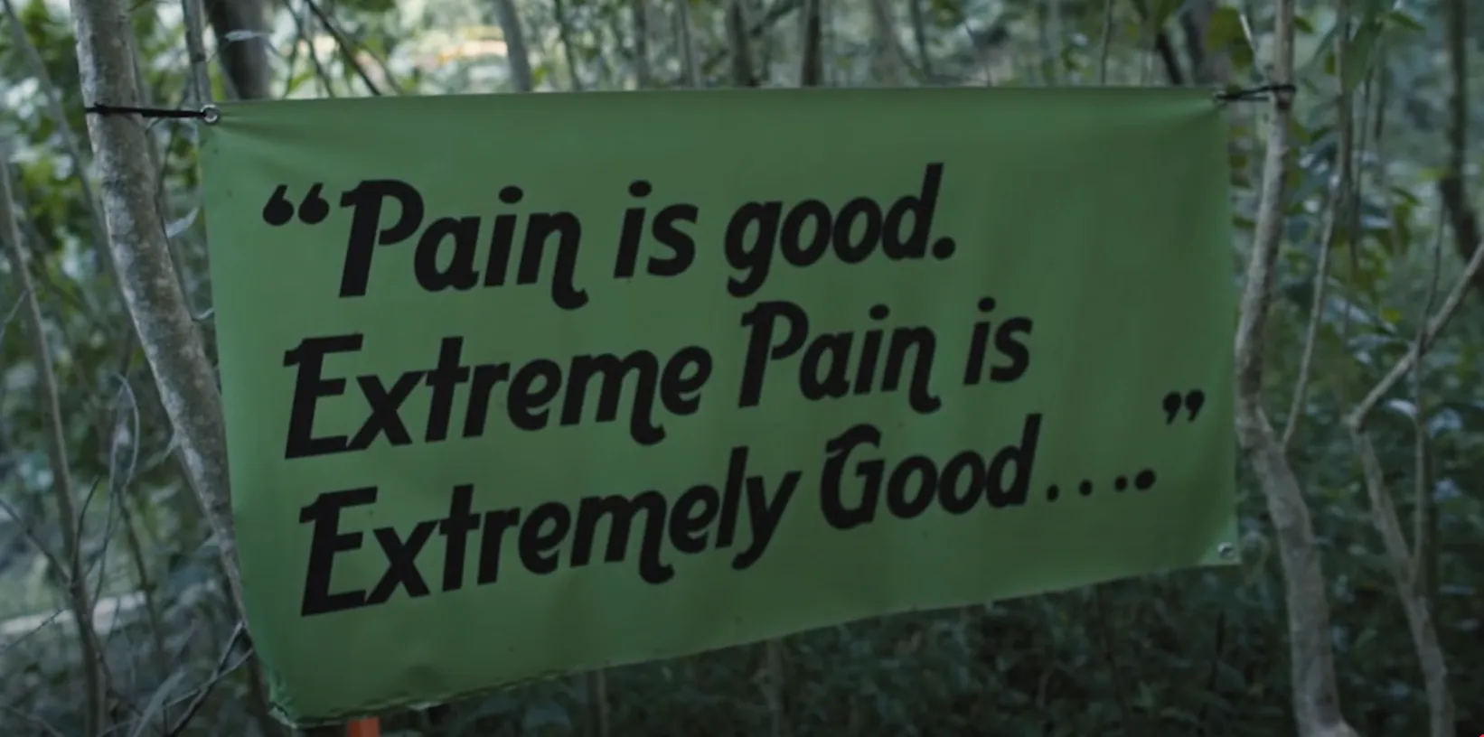 Photo from blog post 188