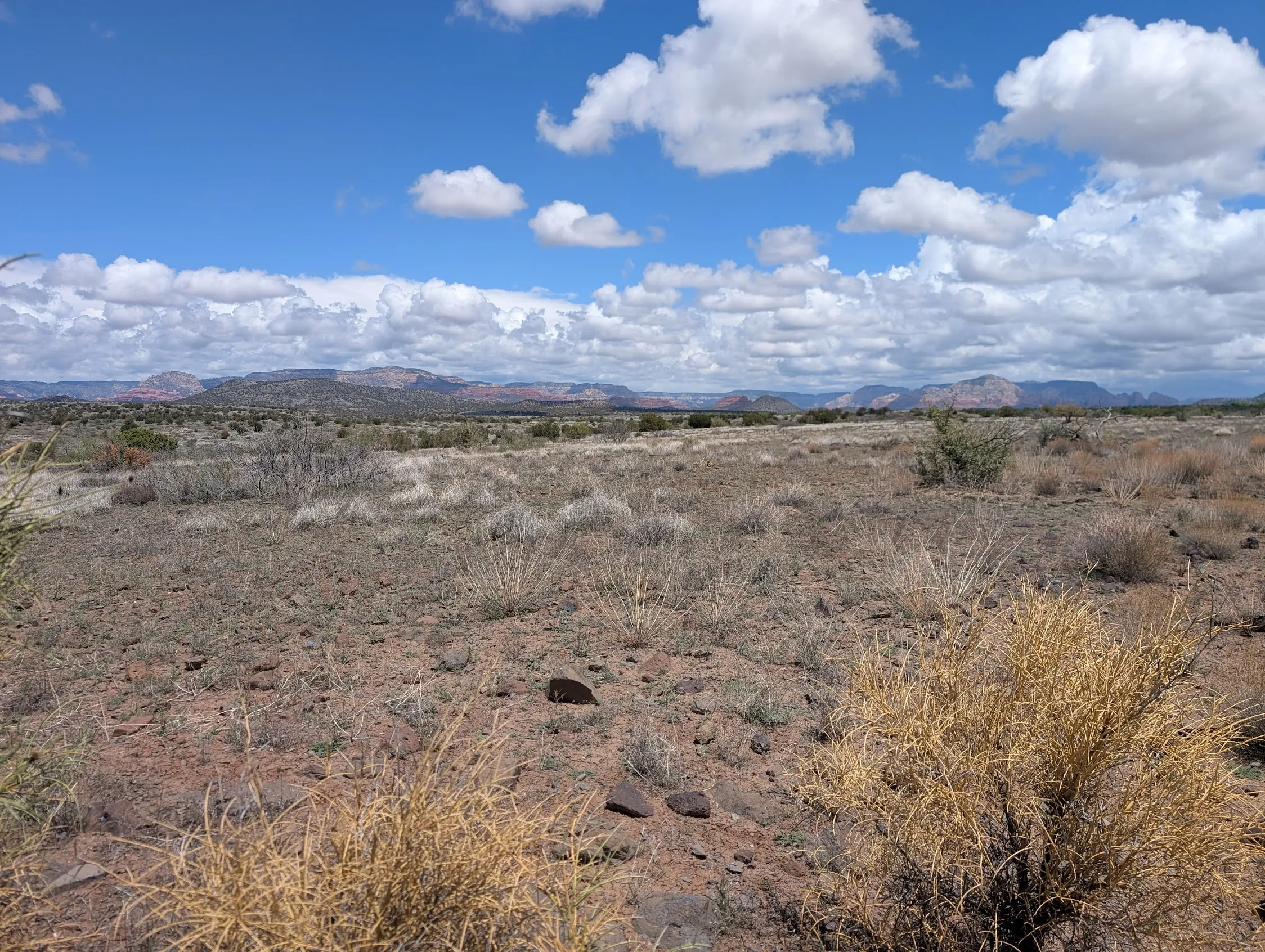 Photo from blog post 189