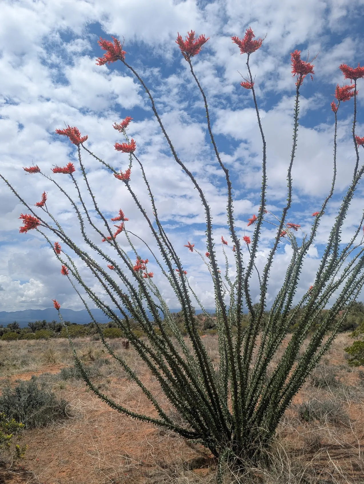 Photo from blog post 189