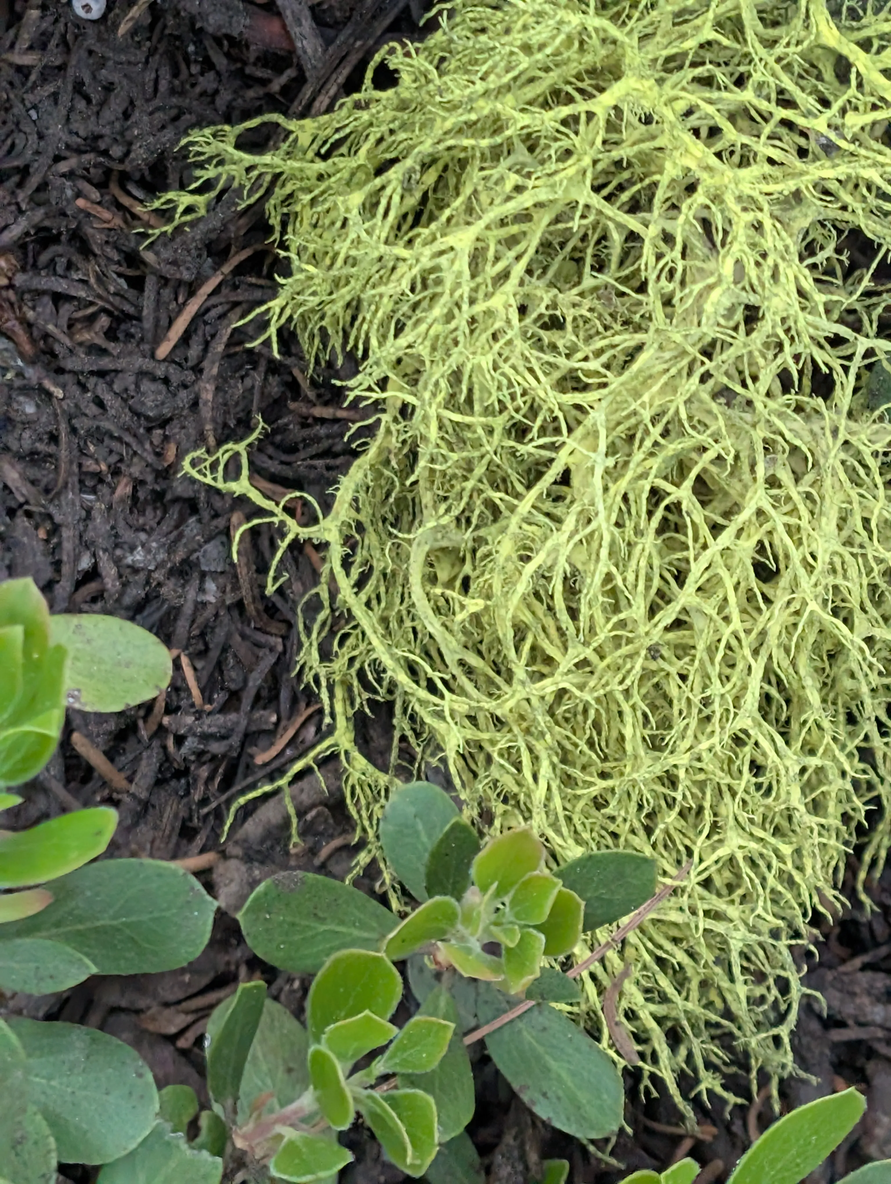 Photo from blog post 190