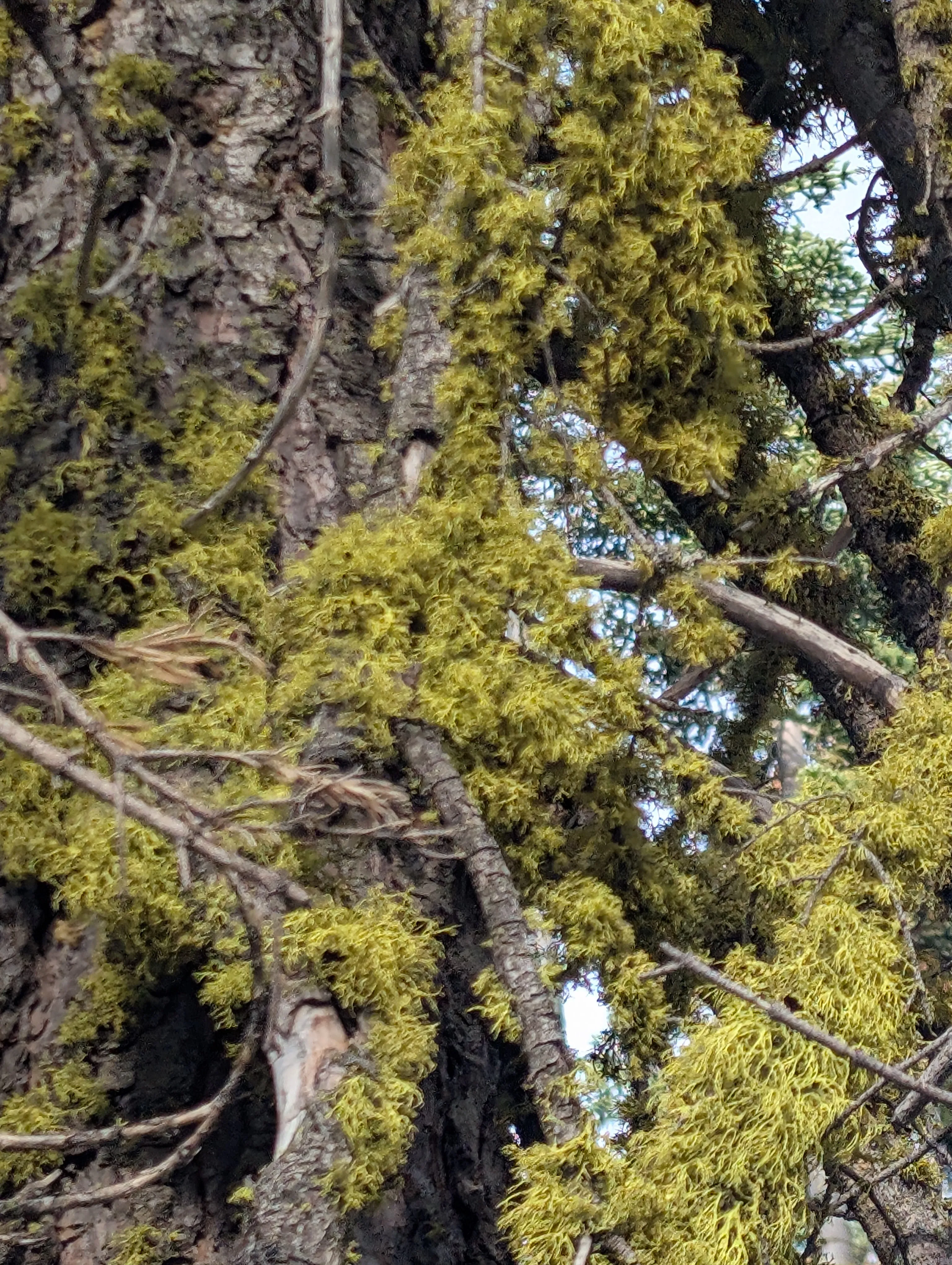 Photo from blog post 190